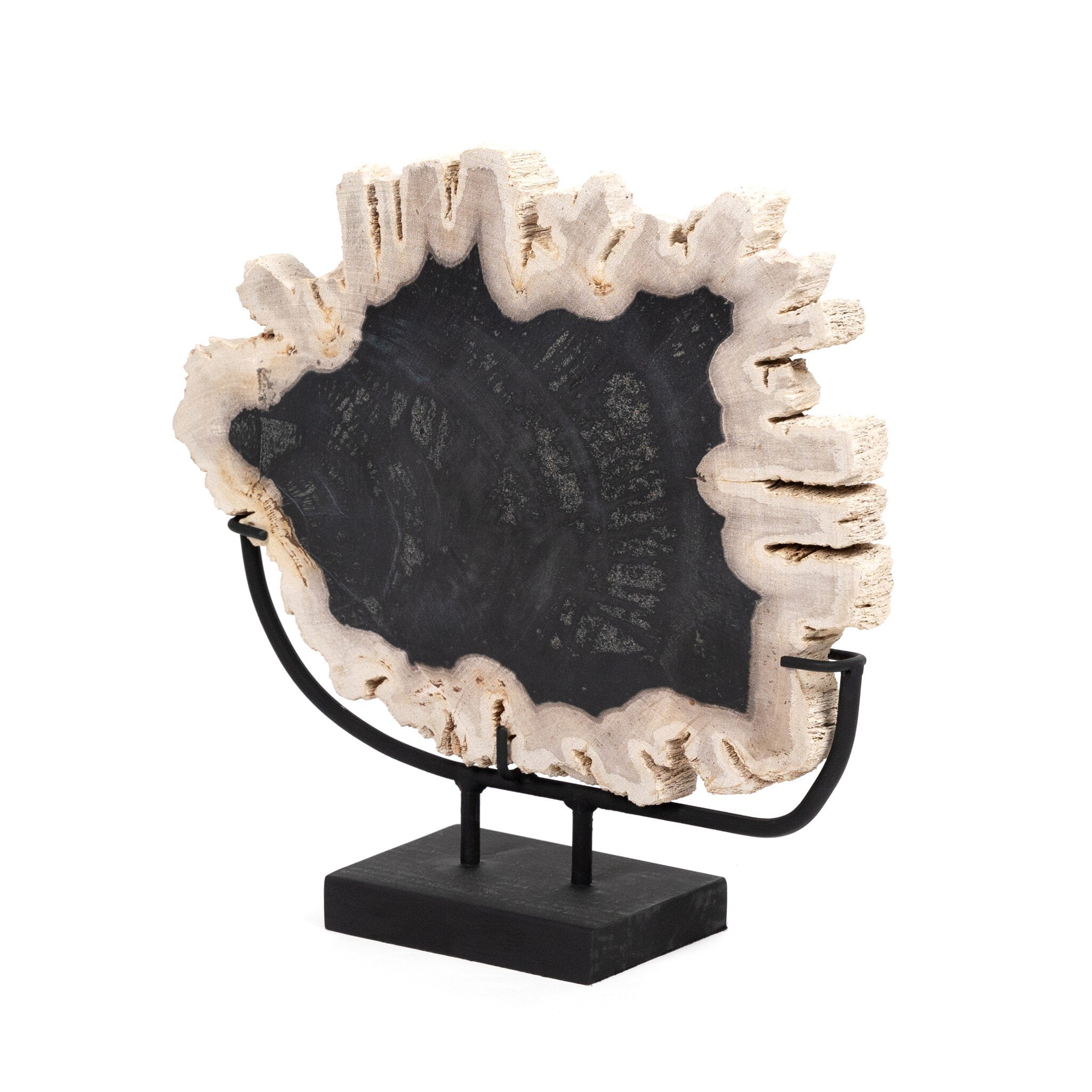 Petrified Wood Sculpture - Matte Black Iron