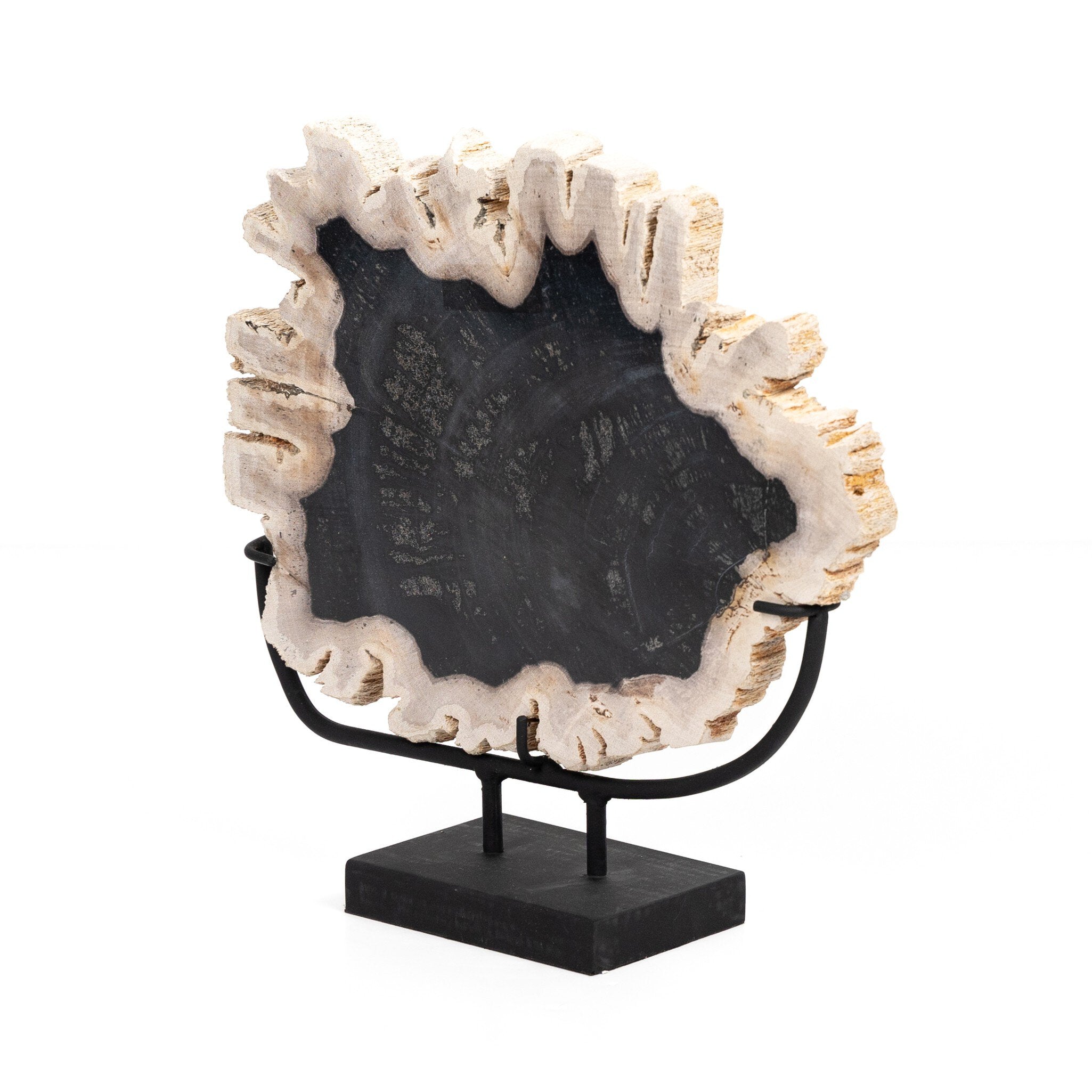Petrified Wood Sculpture - Matte Black Iron