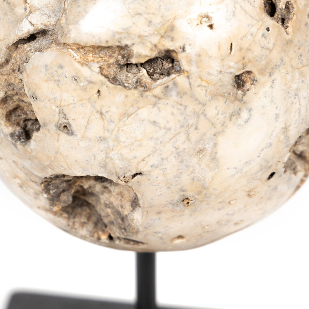 Organic Stone Sculptures, Set Of 3 - Black Marble
