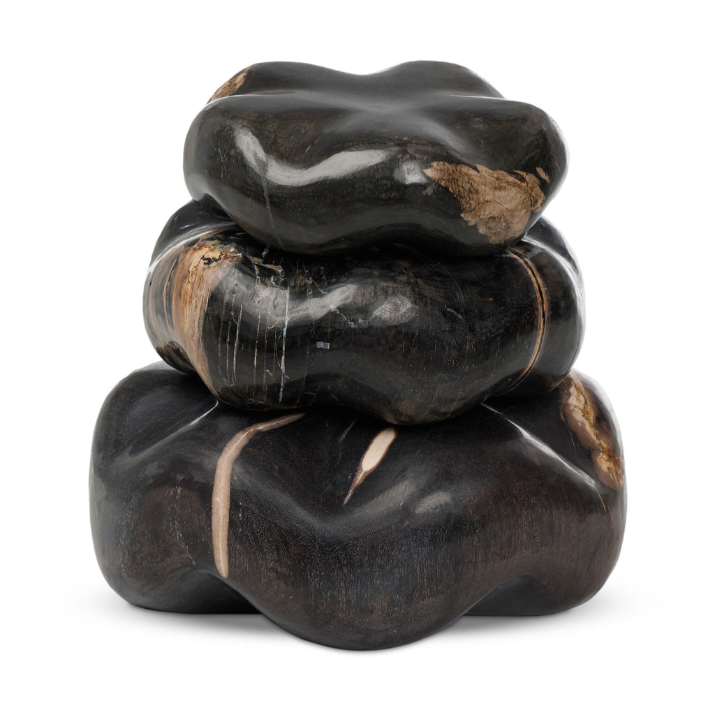 Petrified Wood Organic Sculpture, Set Of 3 - Dark Petrified Wood