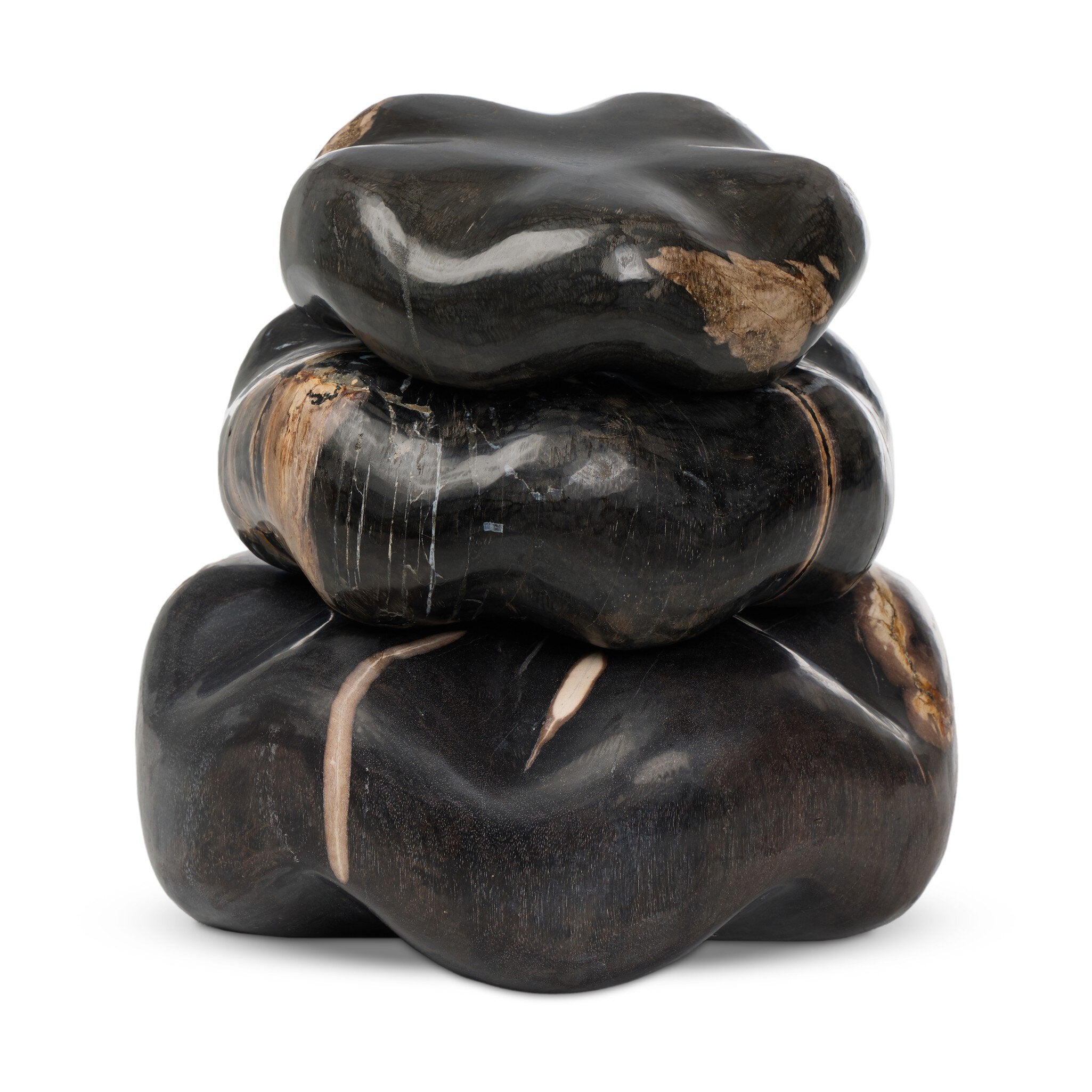 Petrified Wood Organic Sculpture, Set Of 3 - Dark Petrified Wood