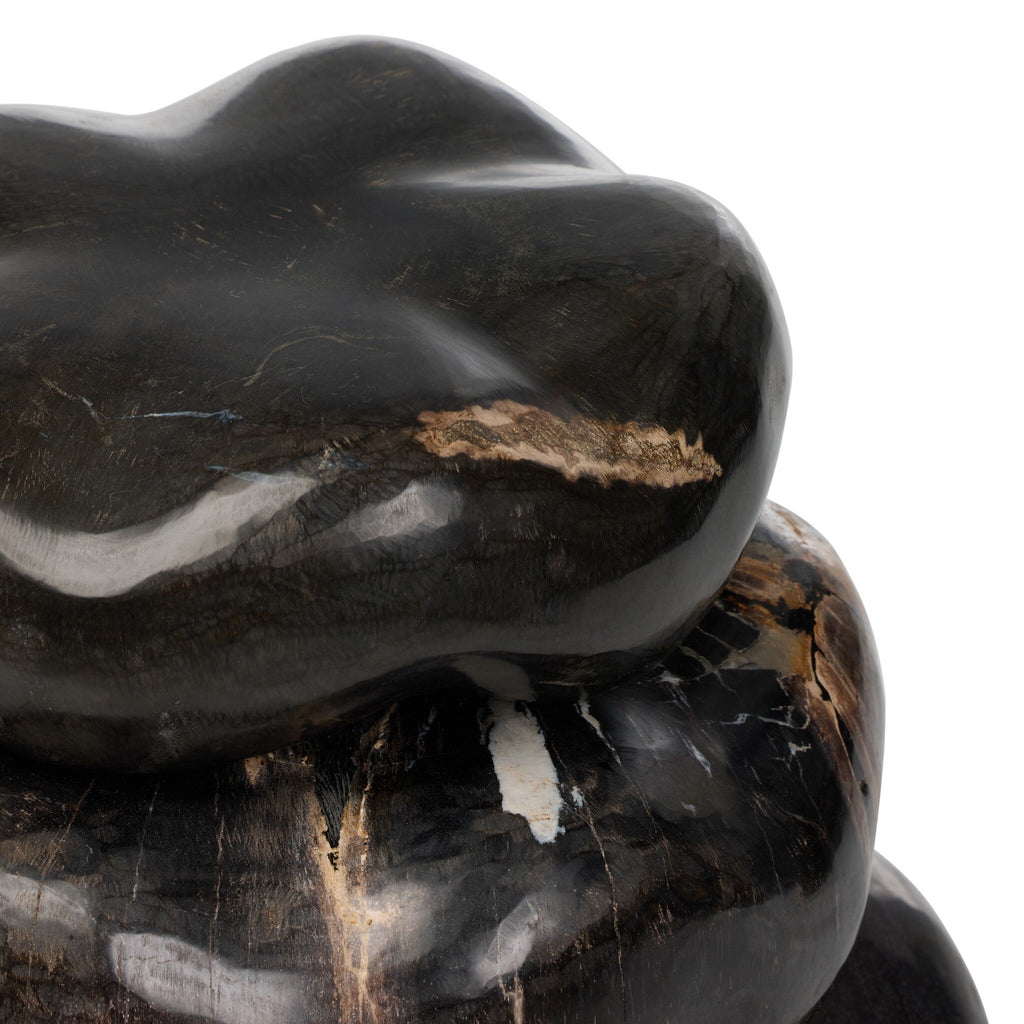 Petrified Wood Organic Sculpture, Set Of 3 - Dark Petrified Wood