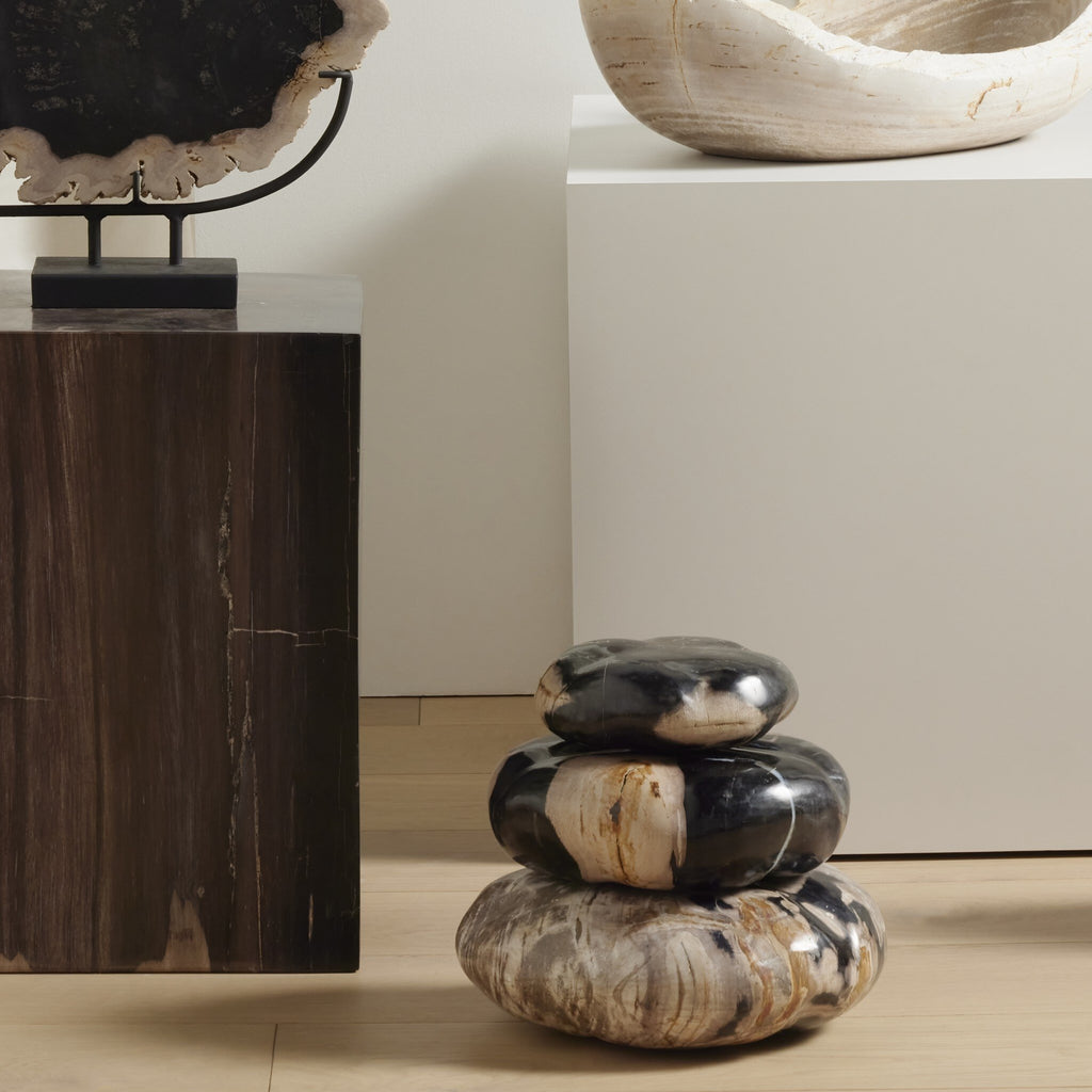 Petrified Wood Organic Sculpture, Set Of 3 - Dark Petrified Wood