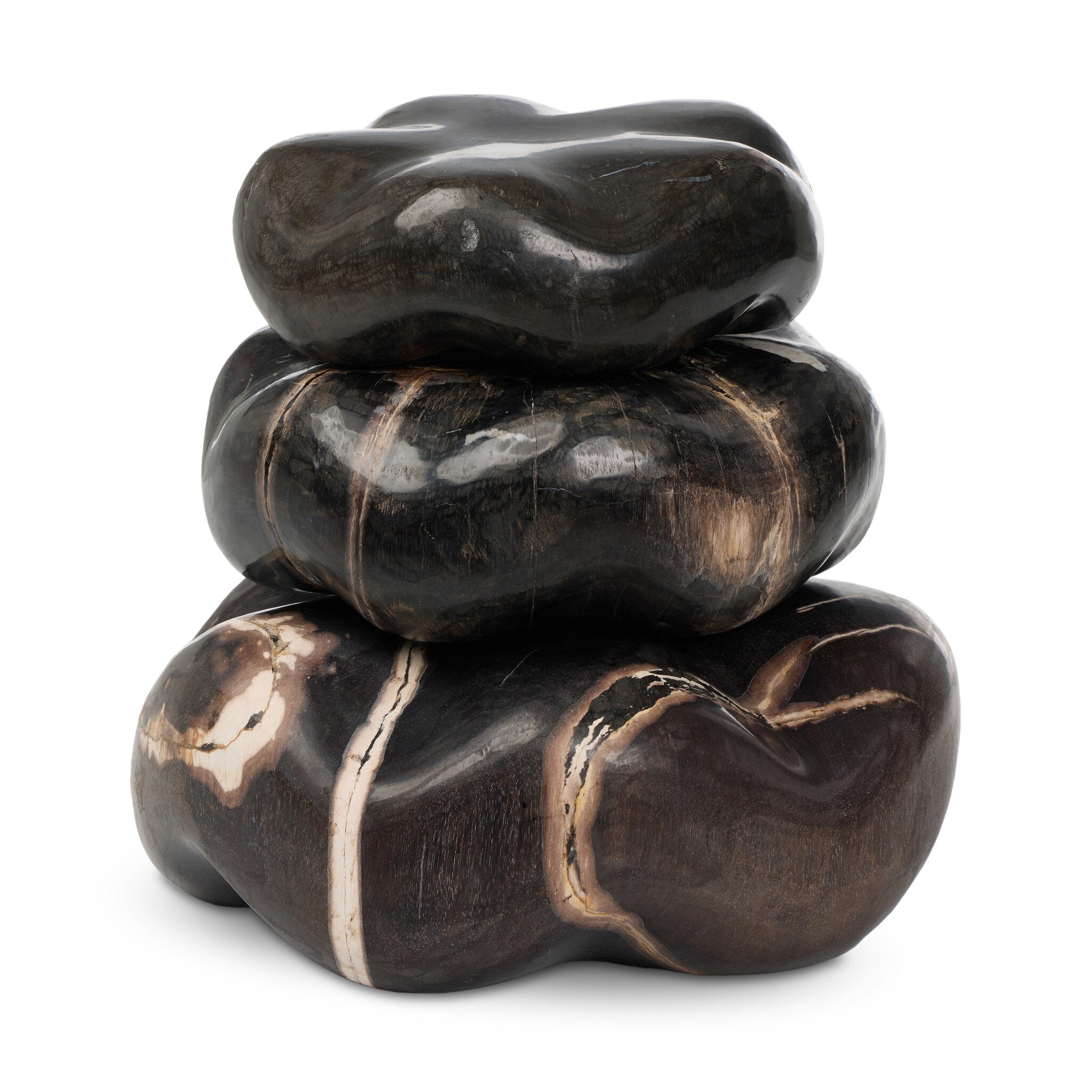 Petrified Wood Organic Sculpture, Set Of 3 - Dark Petrified Wood