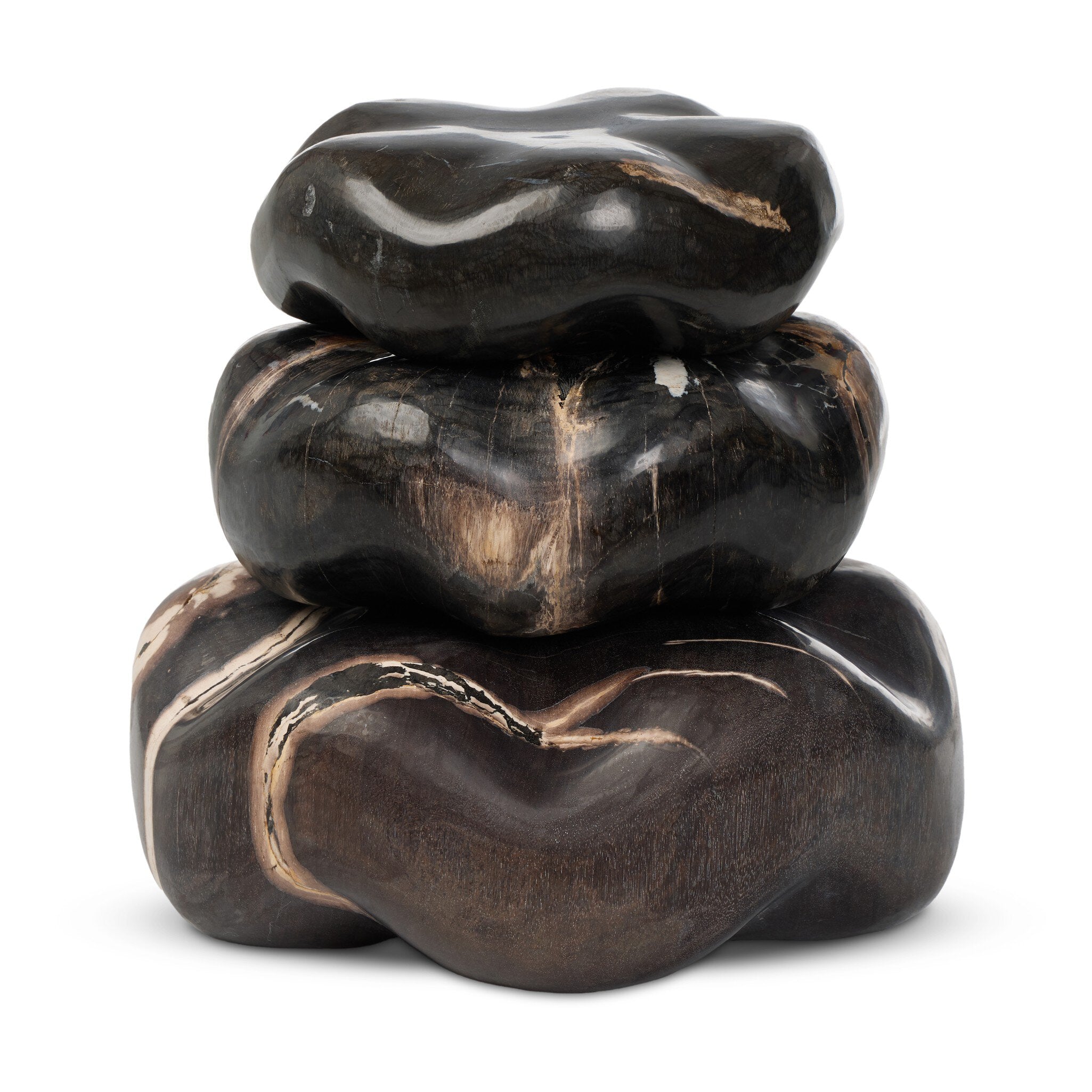 Petrified Wood Organic Sculpture, Set Of 3 - Dark Petrified Wood