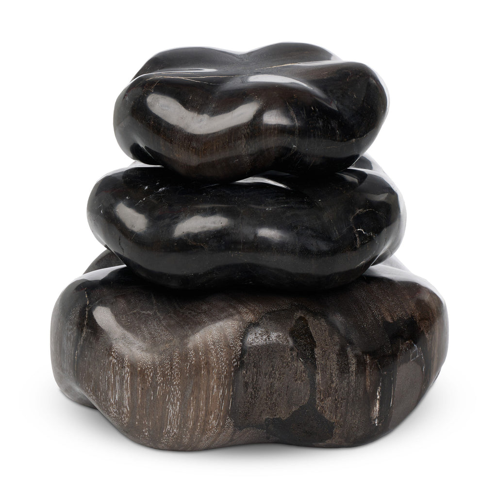 Petrified Wood Organic Sculpture, Set Of 3 - Dark Petrified Wood