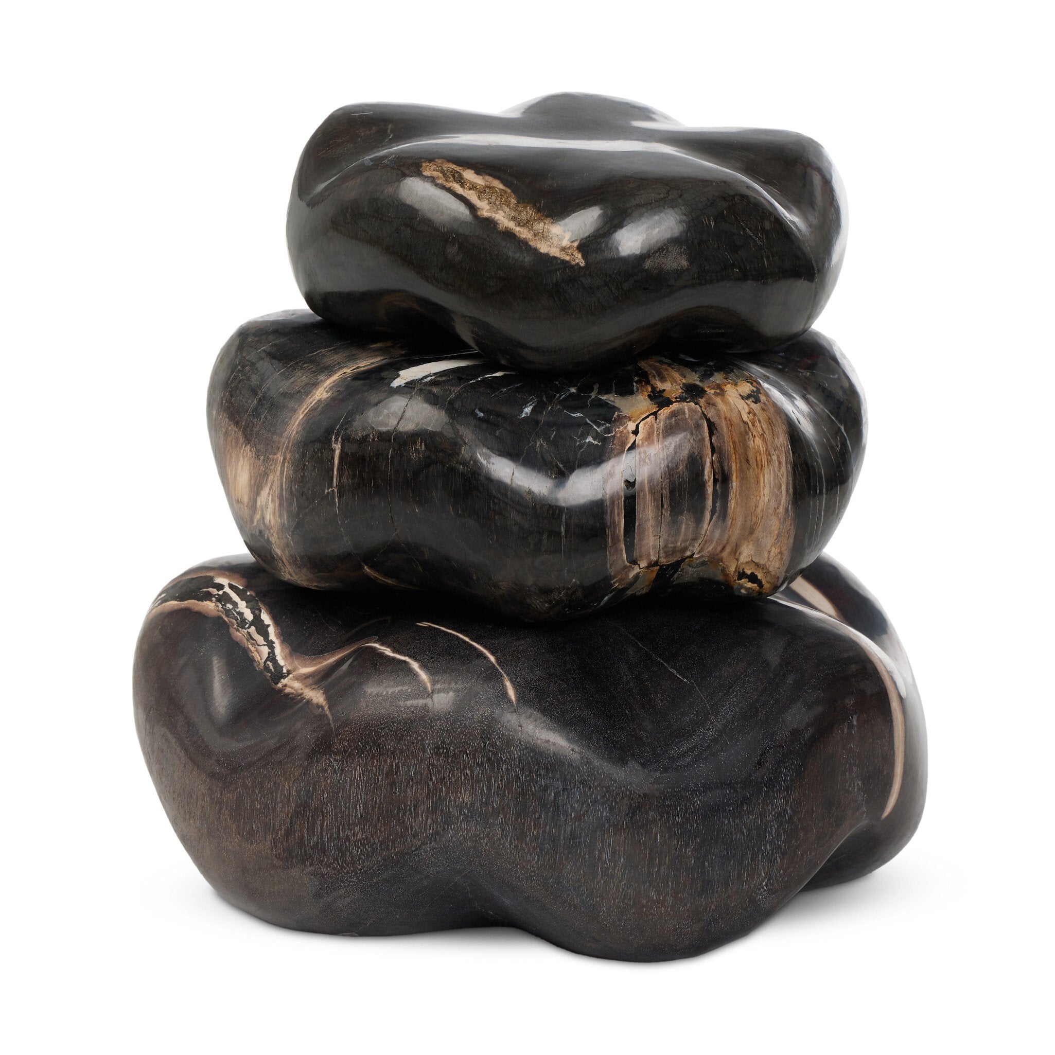 Petrified Wood Organic Sculpture, Set Of 3 - Dark Petrified Wood