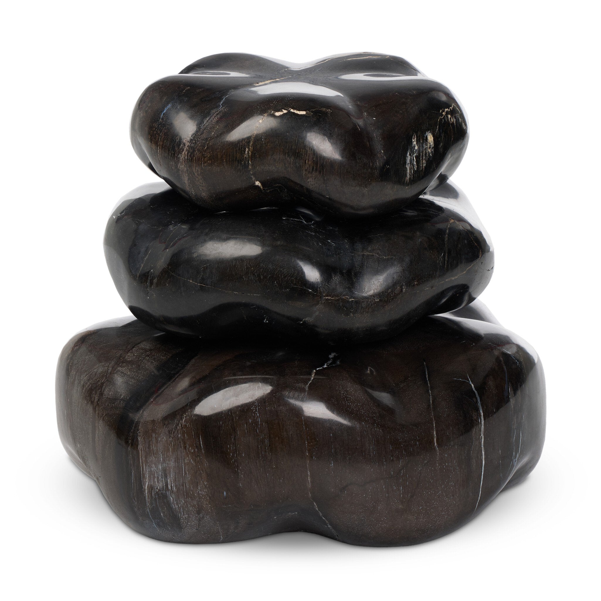 Petrified Wood Organic Sculpture, Set Of 3 - Dark Petrified Wood