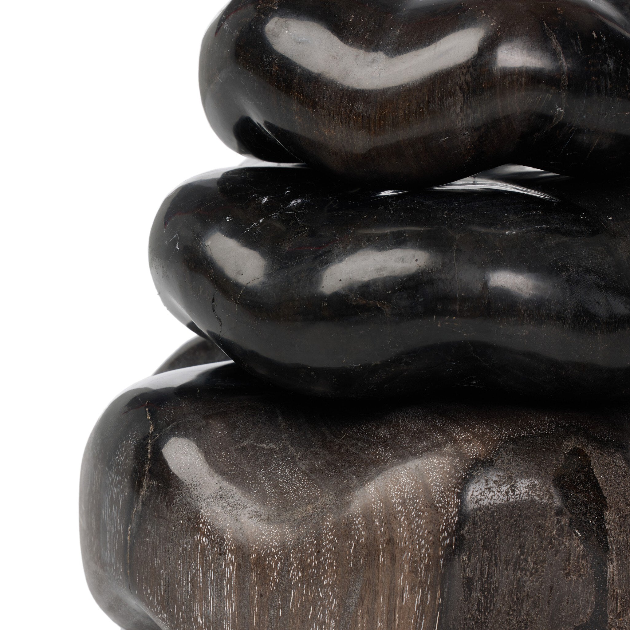 Petrified Wood Organic Sculpture, Set Of 3 - Dark Petrified Wood