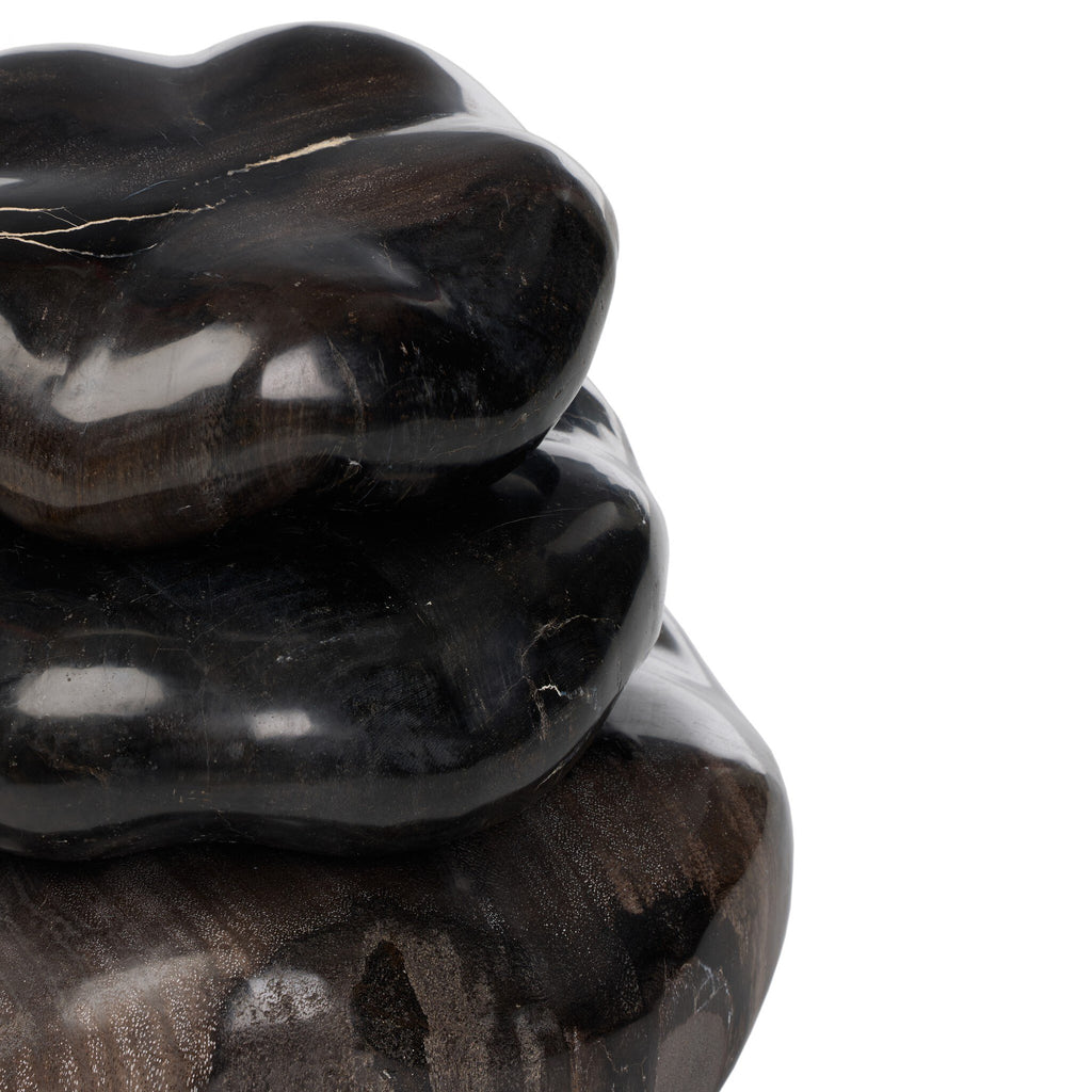 Petrified Wood Organic Sculpture, Set Of 3 - Dark Petrified Wood