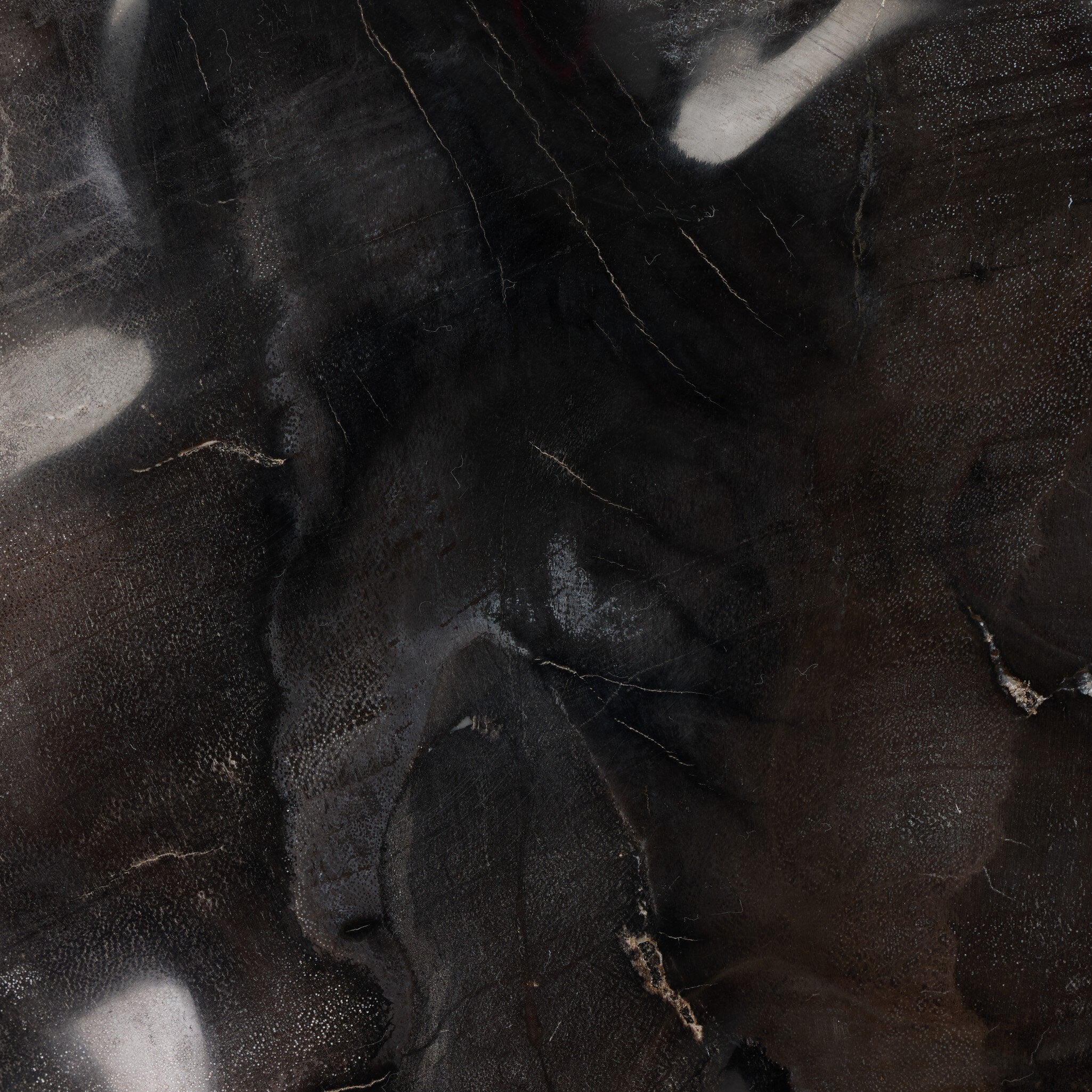 Petrified Wood Organic Sculpture, Set Of 3 - Dark Petrified Wood