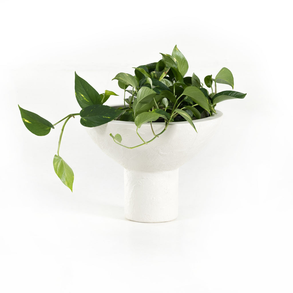 Pressler Outdoor Planter, Set Of 2 - Plaster Molded Concrete