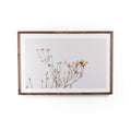In The Details I by Annie Spratt - Rustic 2.5 Walnut