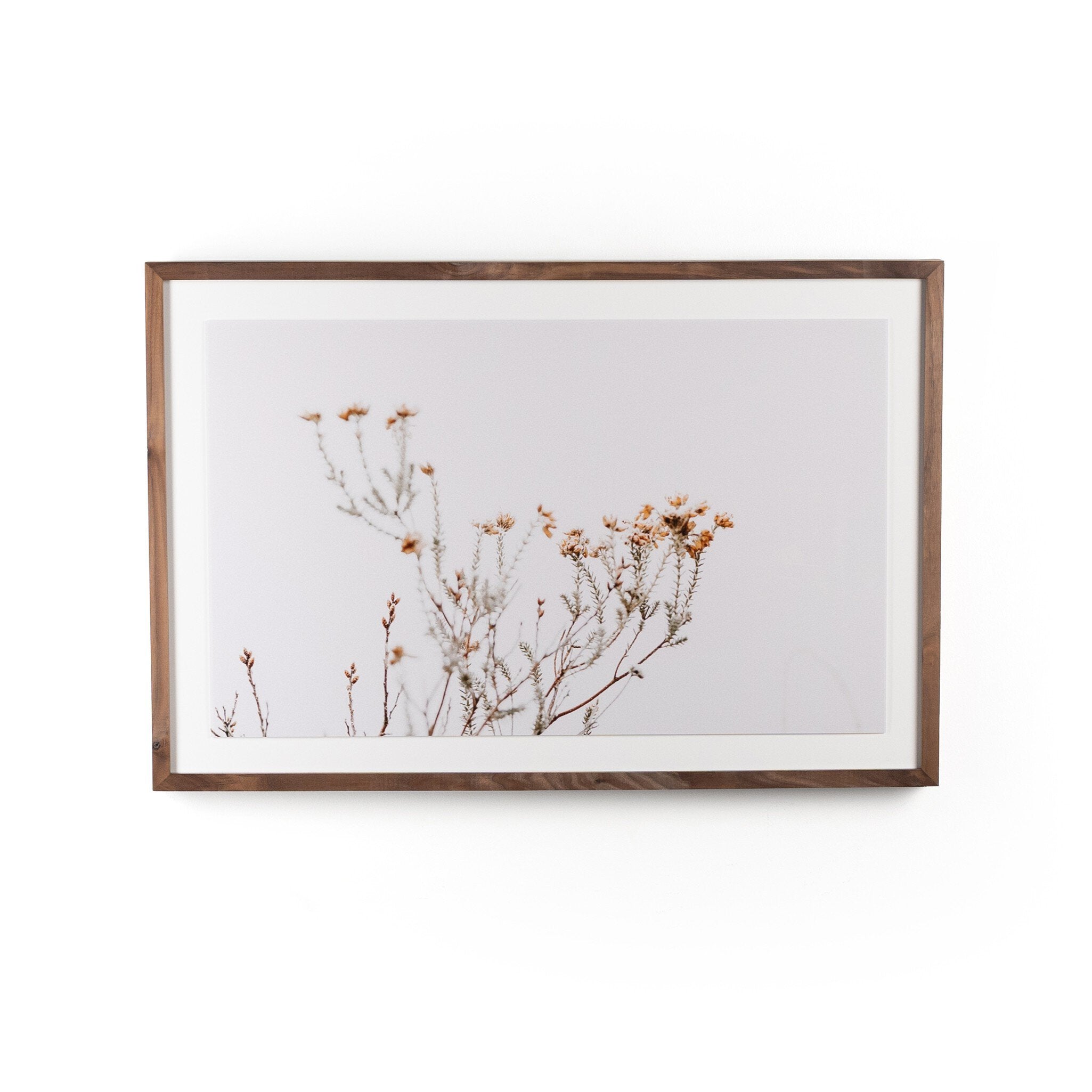 In The Details I by Annie Spratt - Rustic 2.5 Walnut