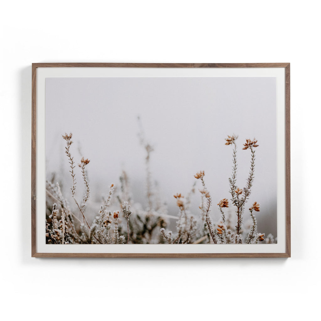 In The Details II by Annie Spratt - Rustic 2.5 Walnut