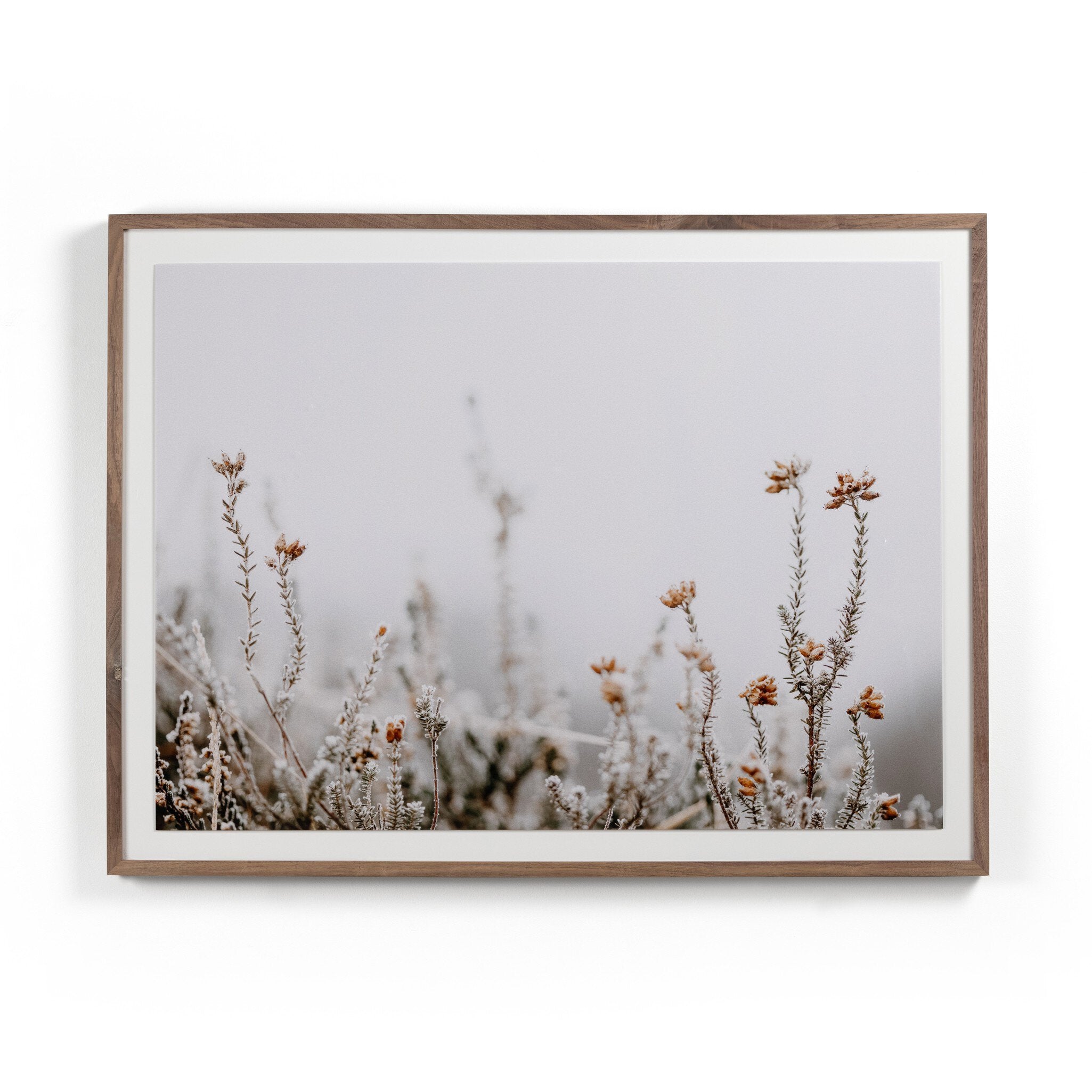 In The Details II by Annie Spratt - Rustic 2.5 Walnut