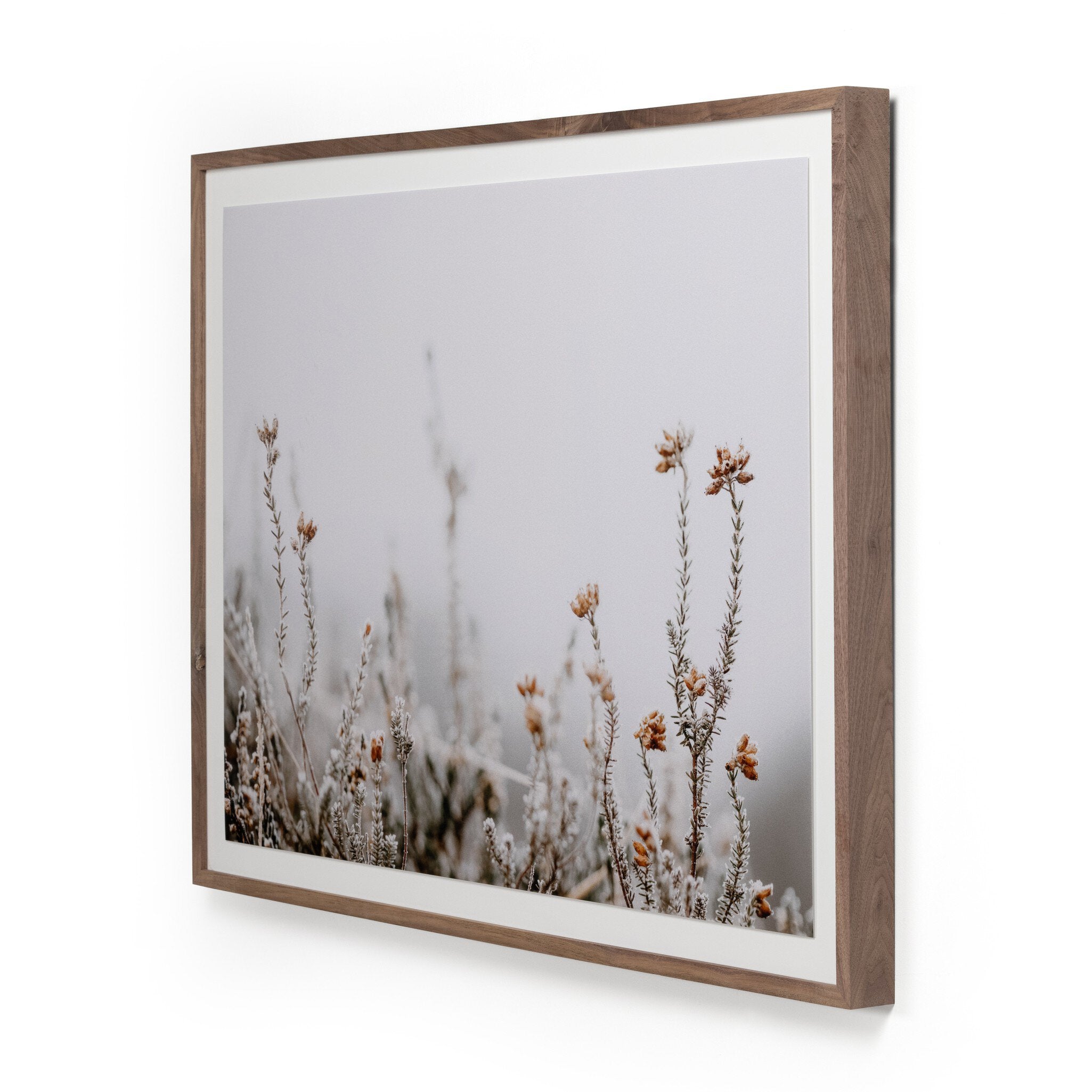 In The Details II by Annie Spratt - Rustic 2.5 Walnut