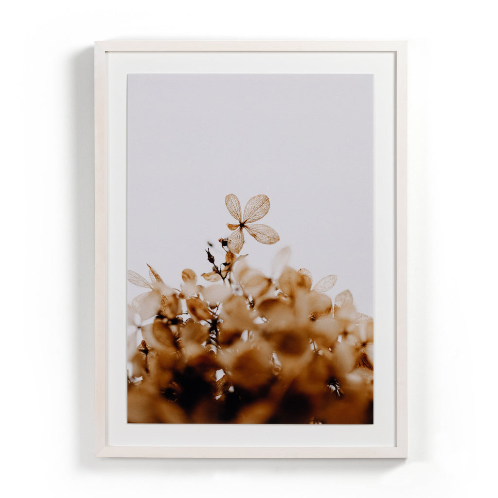 Greetings by Annie Spratt - White Washed 2.5 Maple