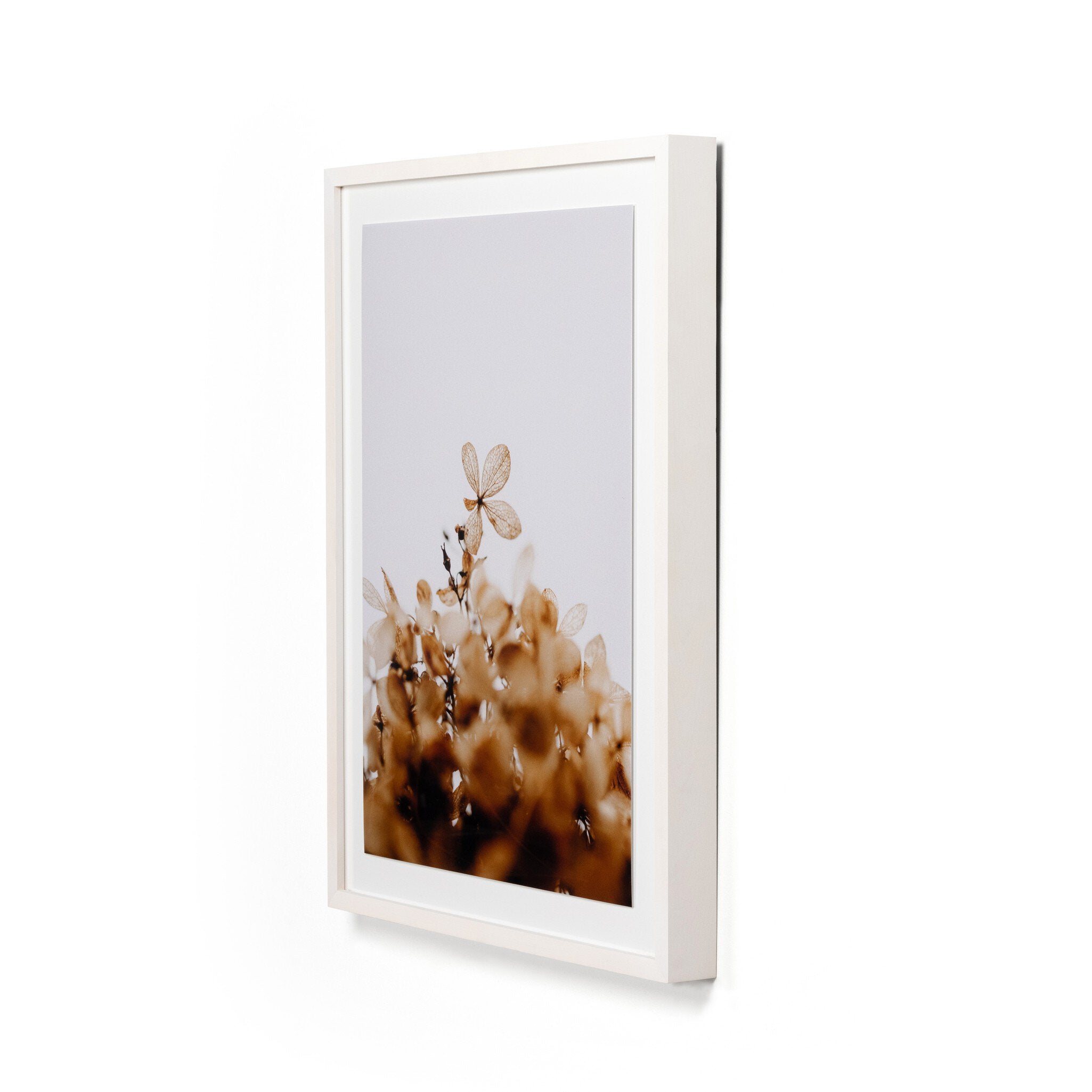 Greetings by Annie Spratt - White Washed 2.5 Maple