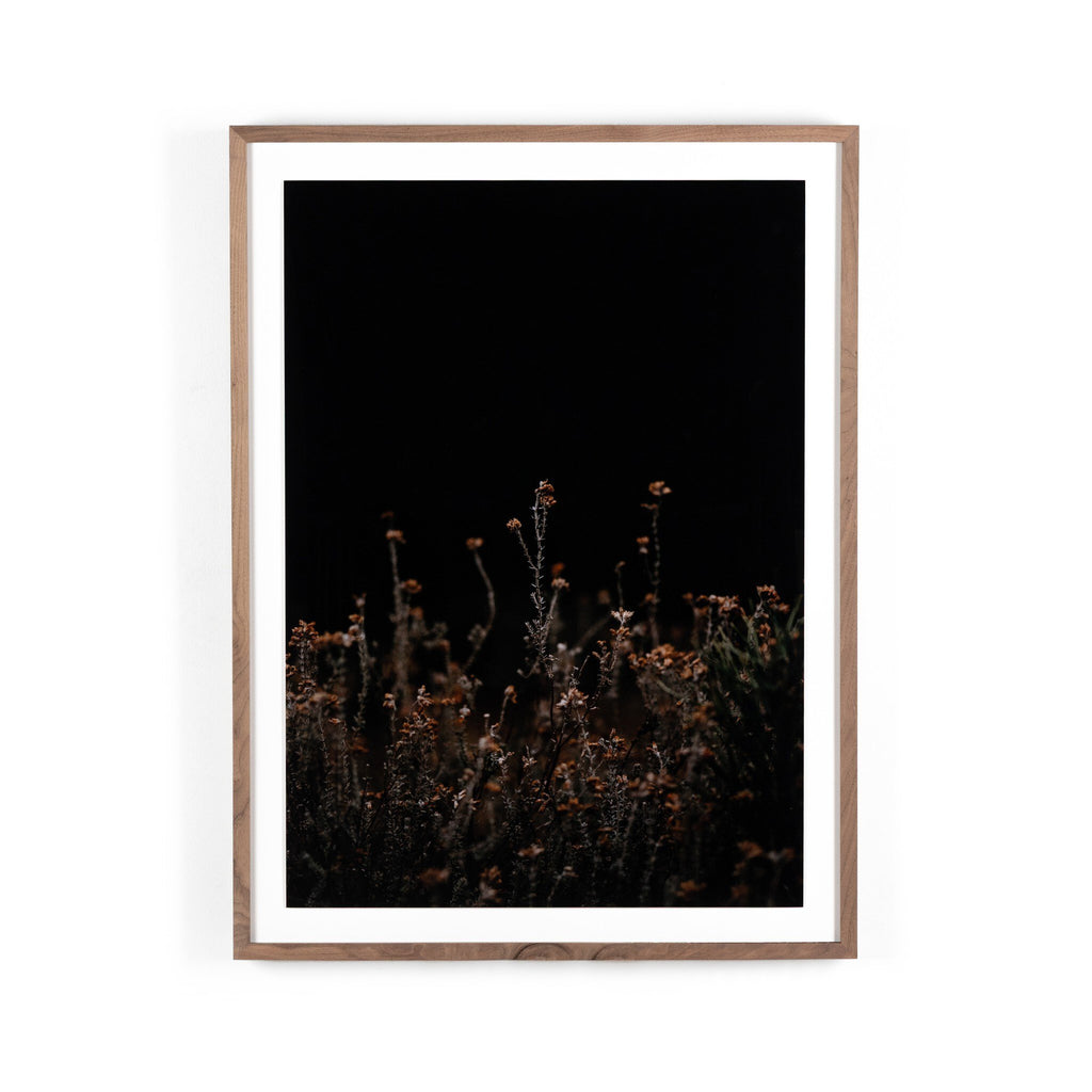 Escape I by Annie Spratt - Rustic 2.5 Walnut