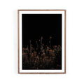 Escape I by Annie Spratt - Rustic 2.5 Walnut