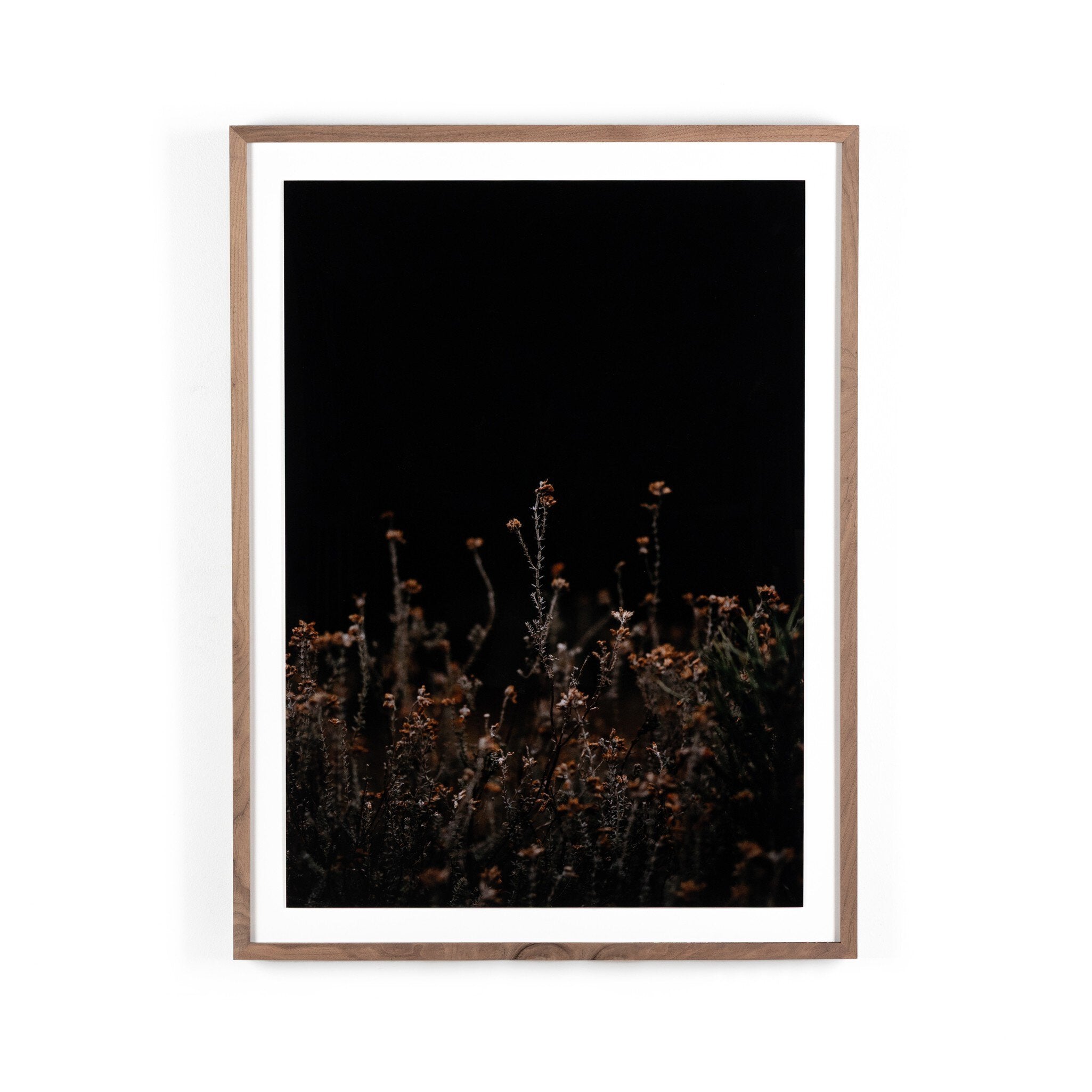 Escape I by Annie Spratt - Rustic 2.5 Walnut