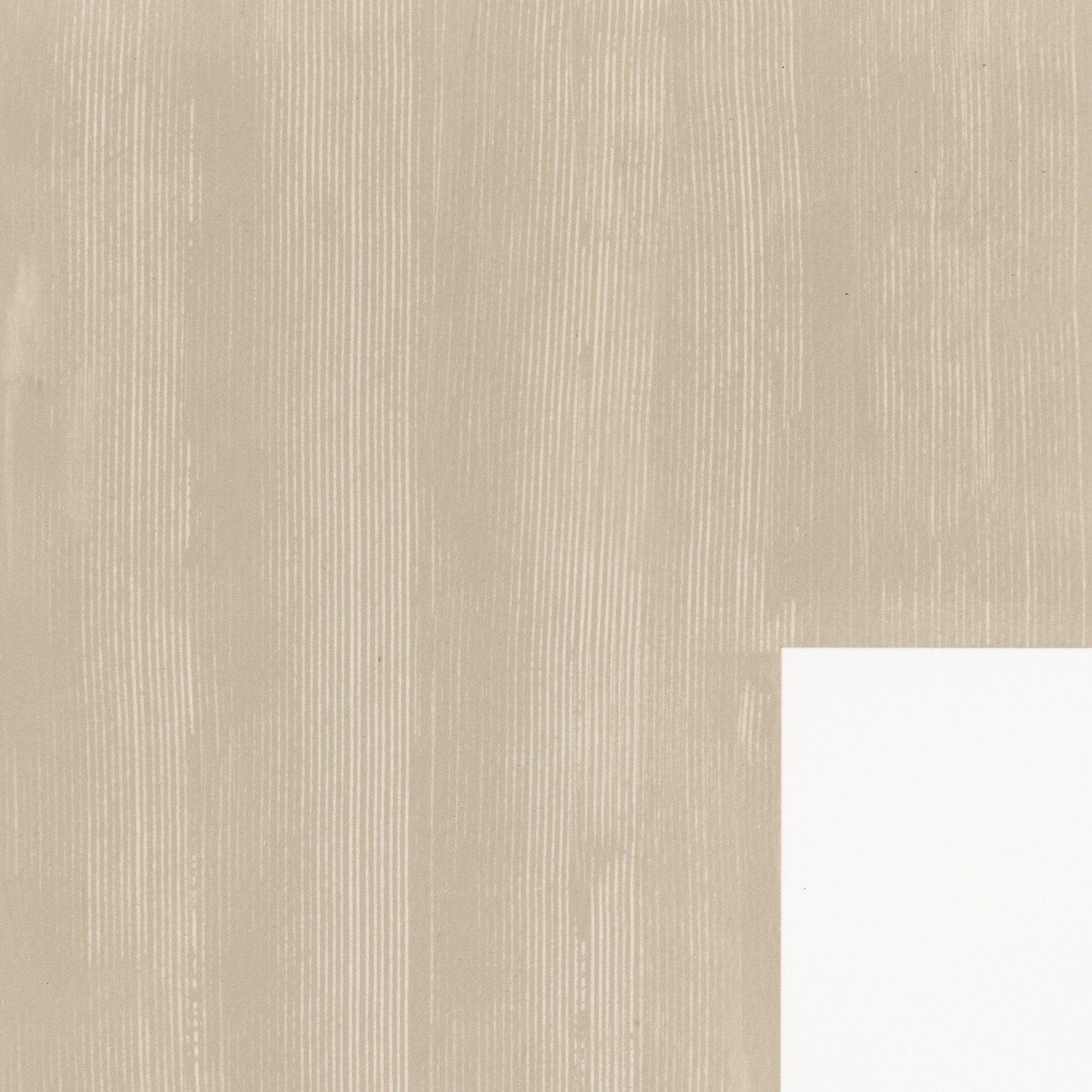Negative In Taupe by The Holly Collective - Natural 2.5 Maple