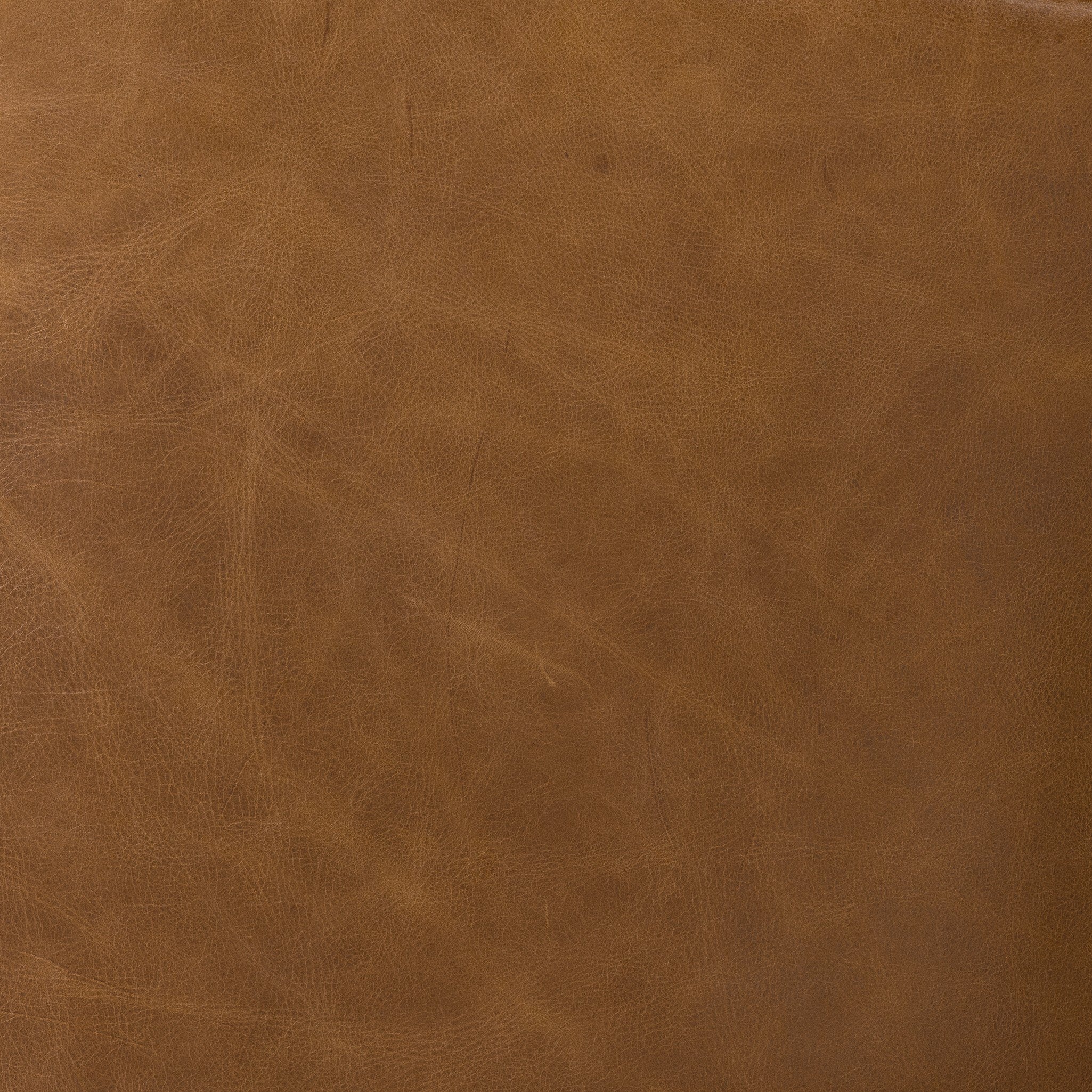 Wycliffe Chair - Vintage Soft Camel