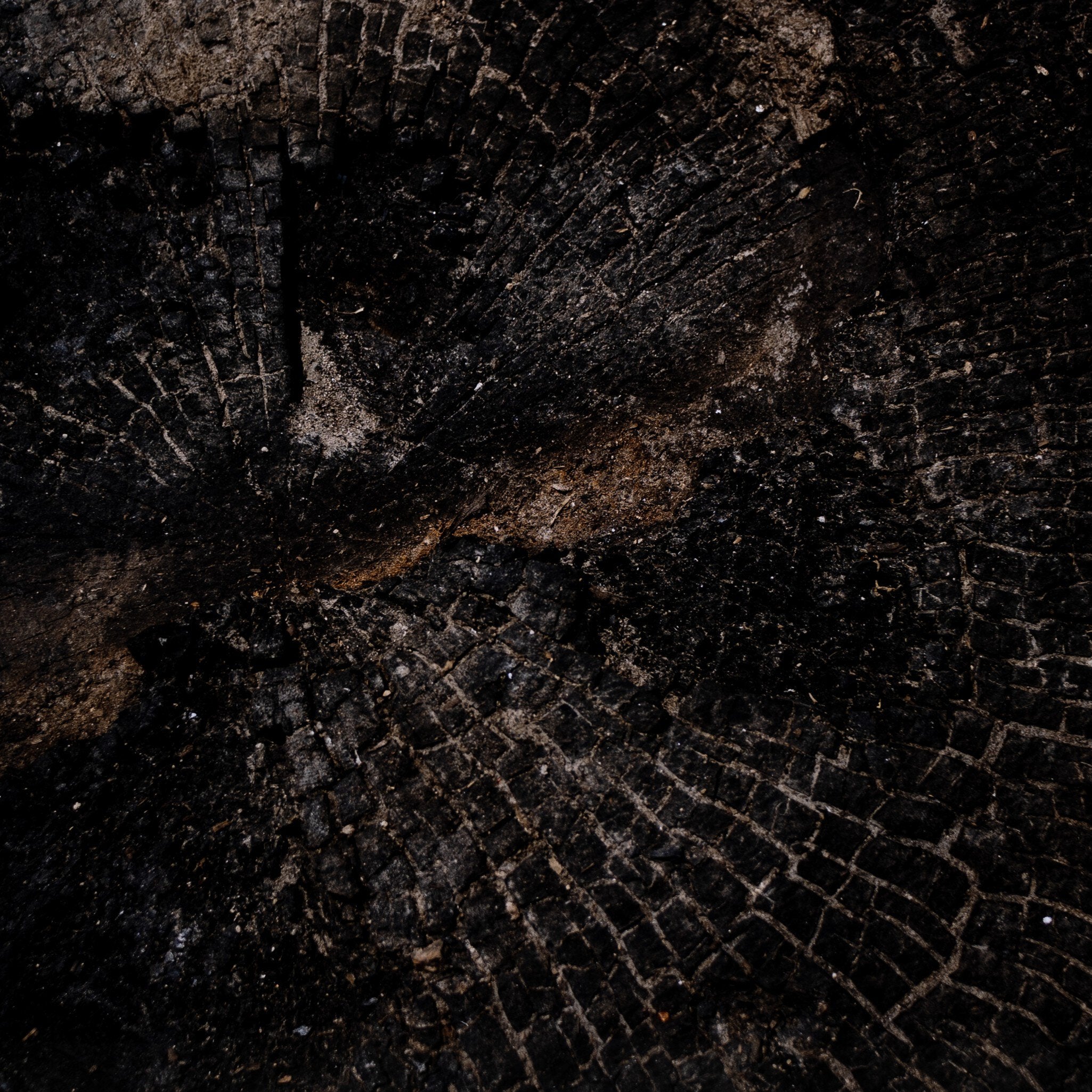 Char XI by FH Art Studio - Rustic 2.5 Walnut