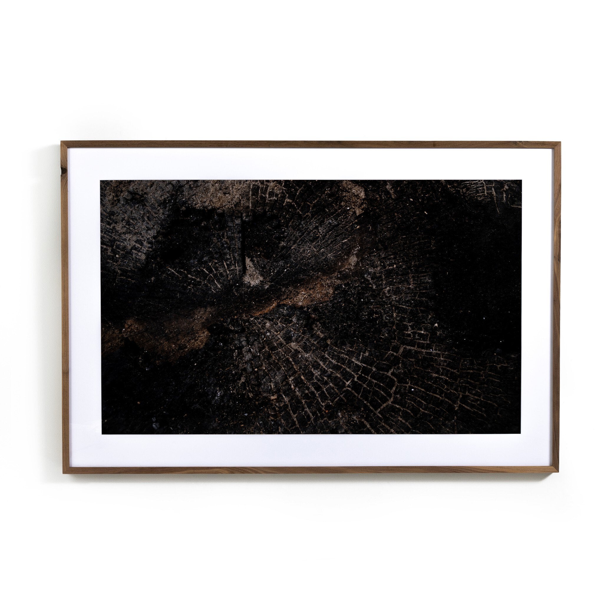 Char XI by FH Art Studio - Rustic 2.5 Walnut