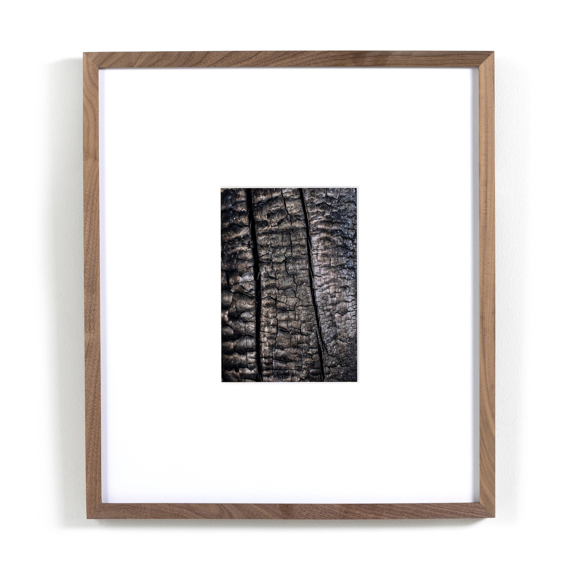 Char IV by FH Art Studio - Rustic 1.5 Walnut