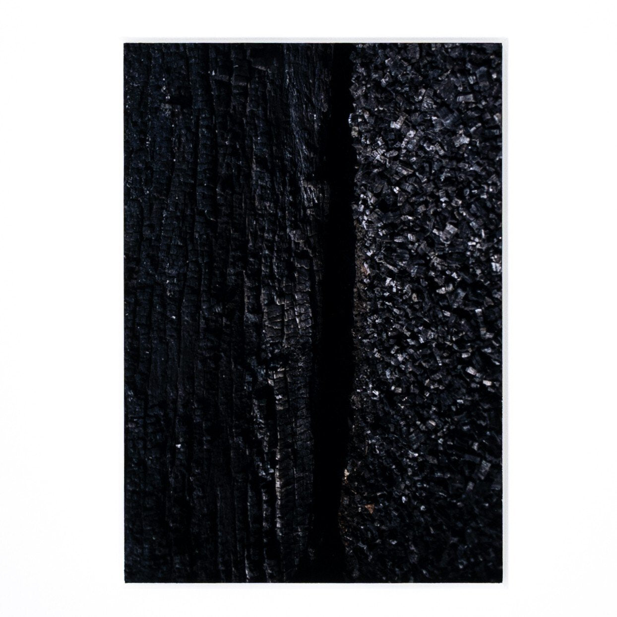 Char VII by FH Art Studio - Rustic 1.5 Walnut