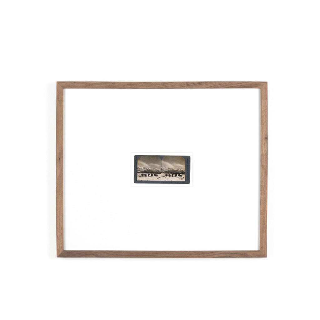 Monarch Of The Plain by Gold Rush Art Co - Rustic 1.5 Walnut