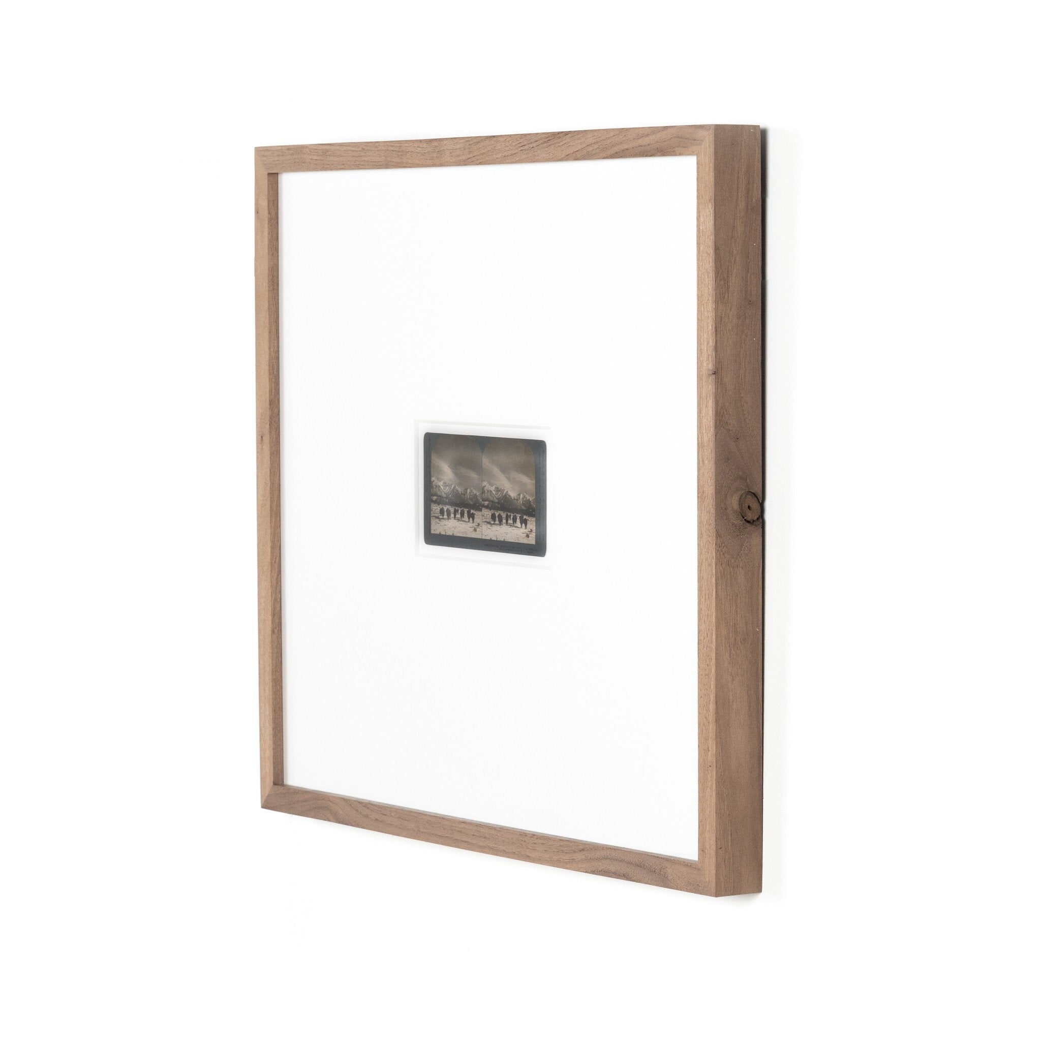 Monarch Of The Plain by Gold Rush Art Co - Rustic 1.5 Walnut