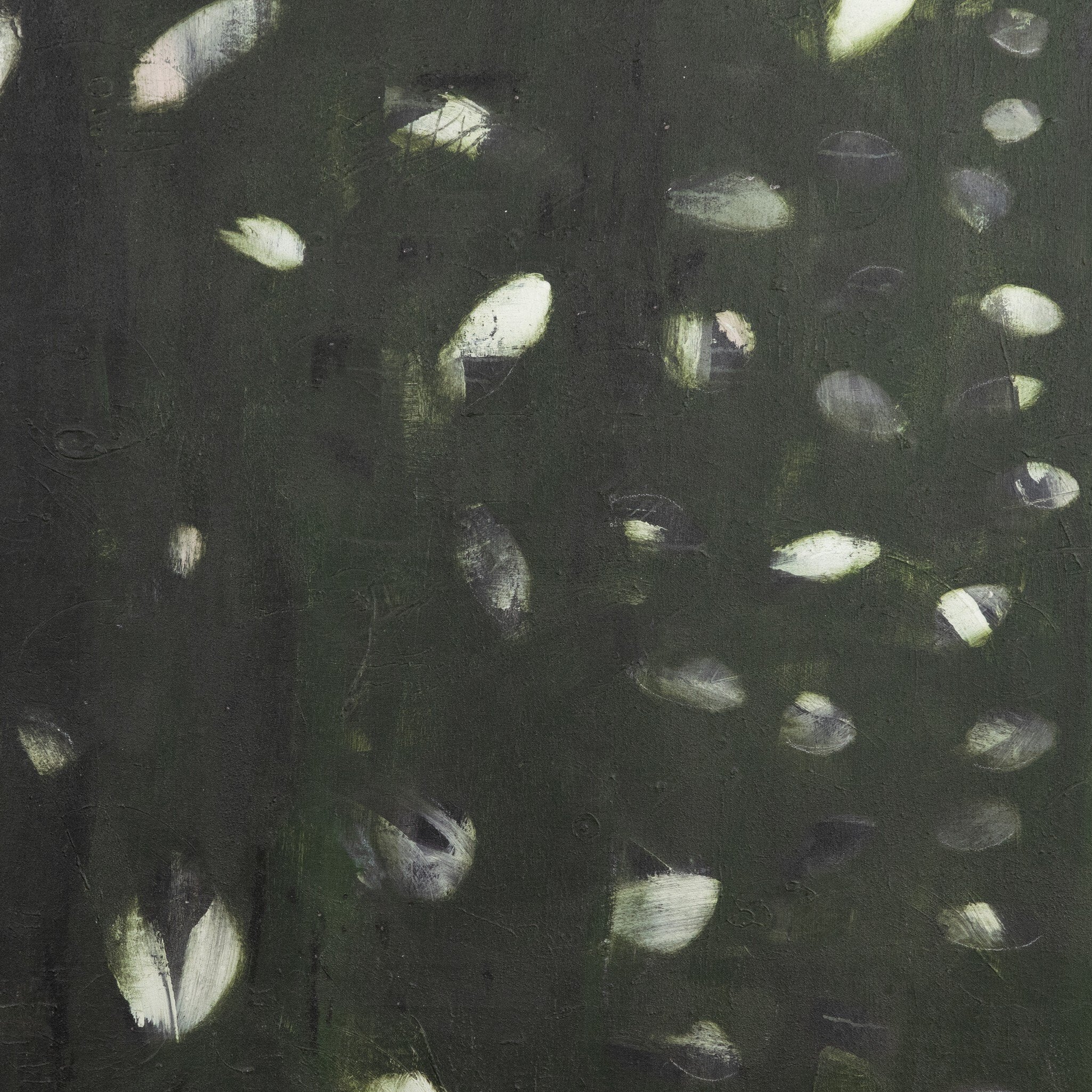 Verde Oculus by Jamie Beckwith - Black Maple Floater