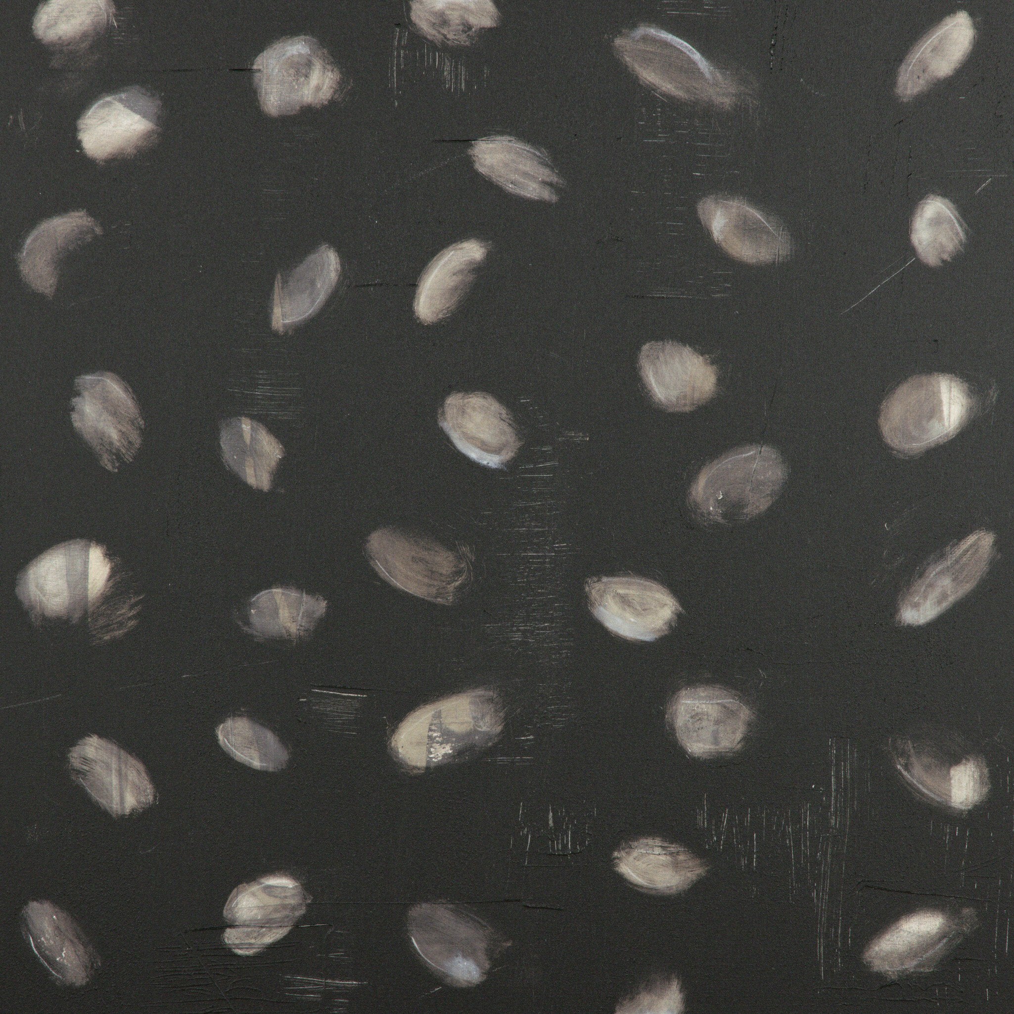 Oculus by Jamie Beckwith - Black Maple Floater