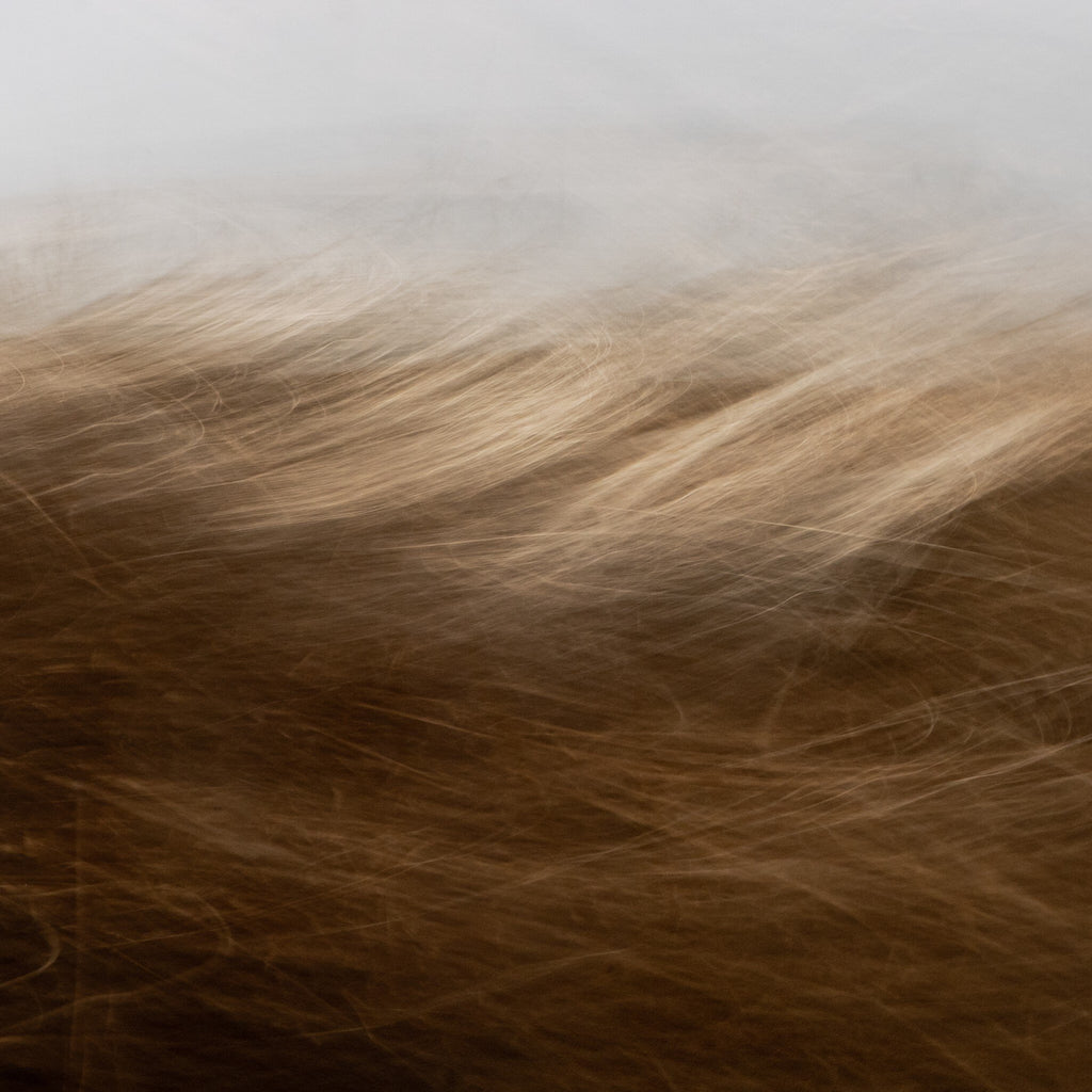 Reality Unfurled by Toni Toscano - Rustic Walnut Floater