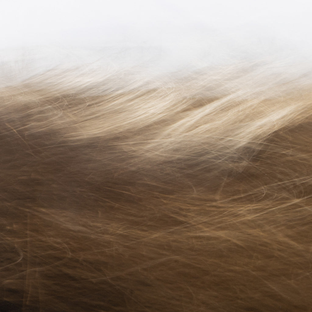 Reality Unfurled by Toni Toscano - Rustic 2.5 Walnut