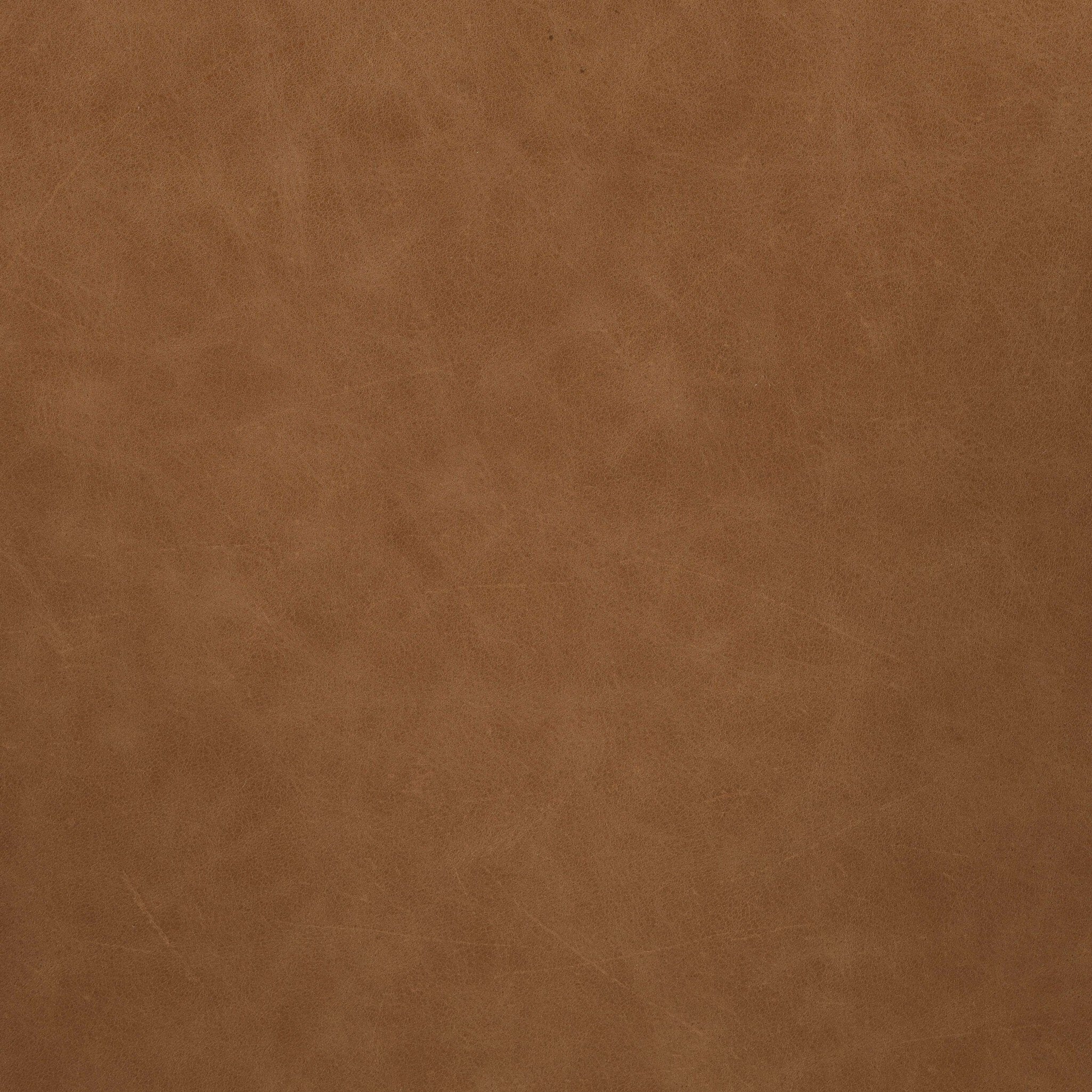 Amare Dining Armchair - Sonoma Butterscotch