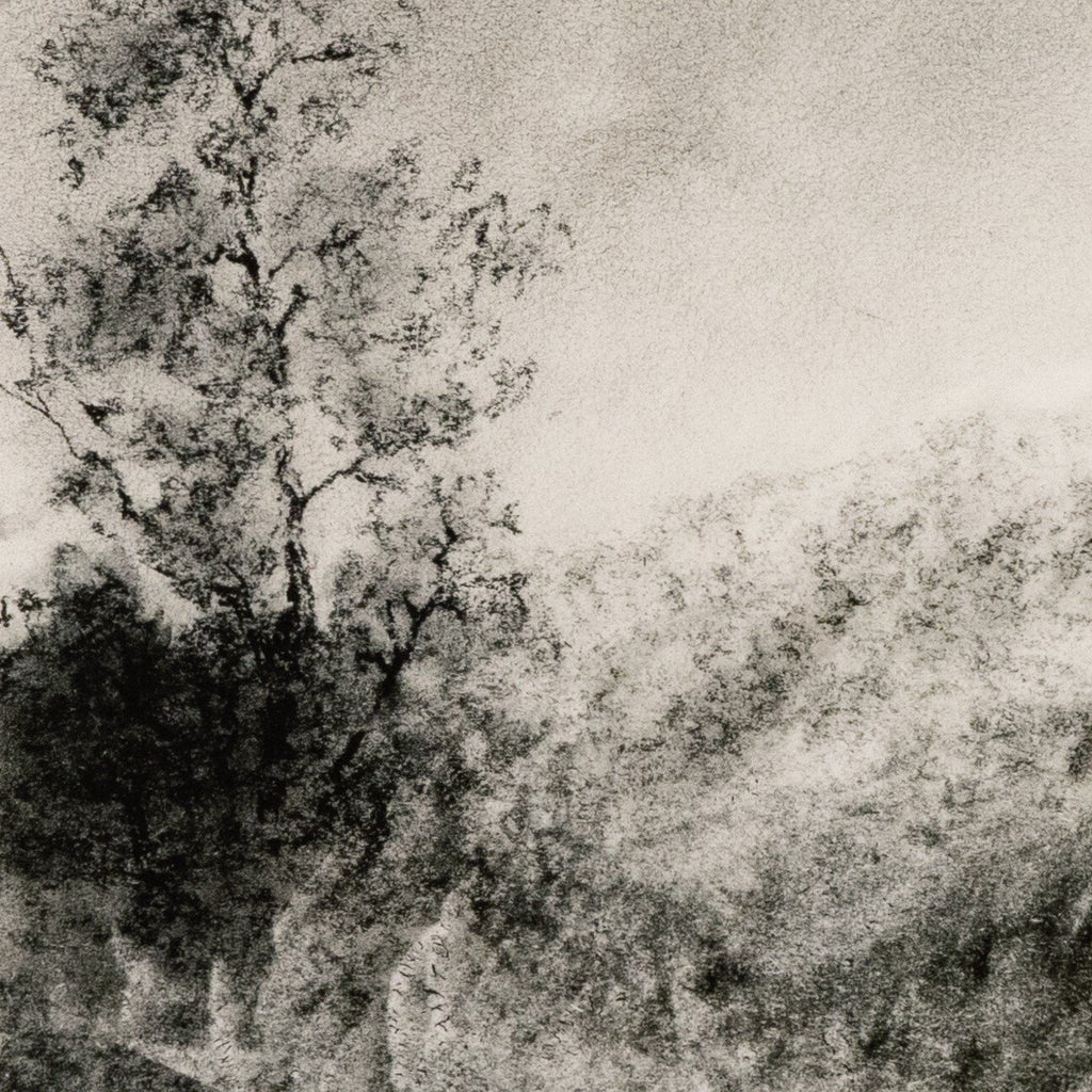 Landscape Study I by Aileen Fitzgerald - Rustic 1.5 Walnut