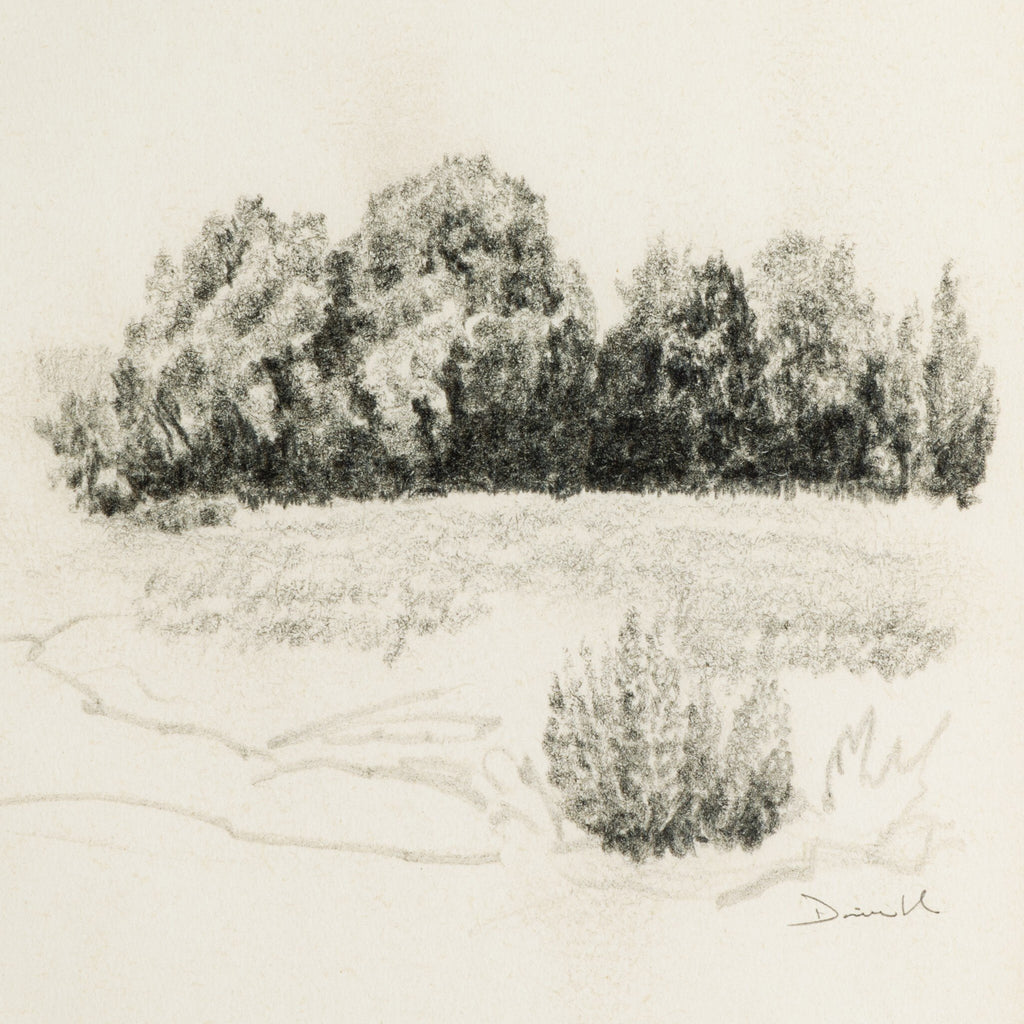 Land Sketch 1 by Dan Hobday - Rustic 1.5 Walnut