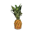 Pineapple, small