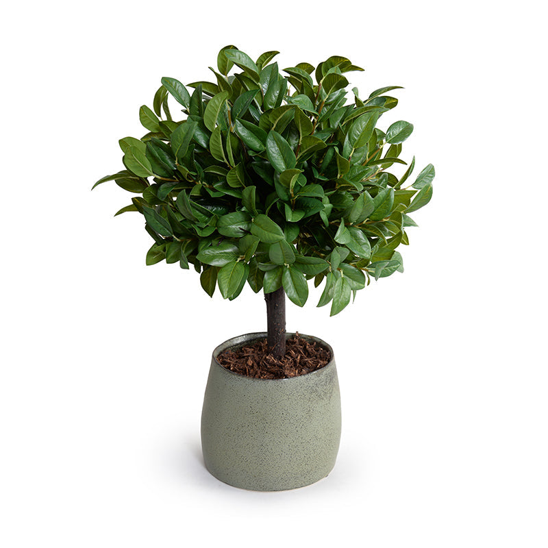 Laurel Leaf Topiary 22"H Green Porcelain