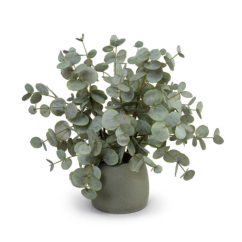 Eucalyptus in Porcelain 21"H Green Porcelain