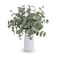 Eucalyptus in Tall Porcelain Vase, 28"H White Porcelain