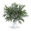 Olive branches in Tall Porcelain Vase, 30"H White Porcelain