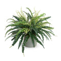 Forest Fern Small x3 Green Porcelain