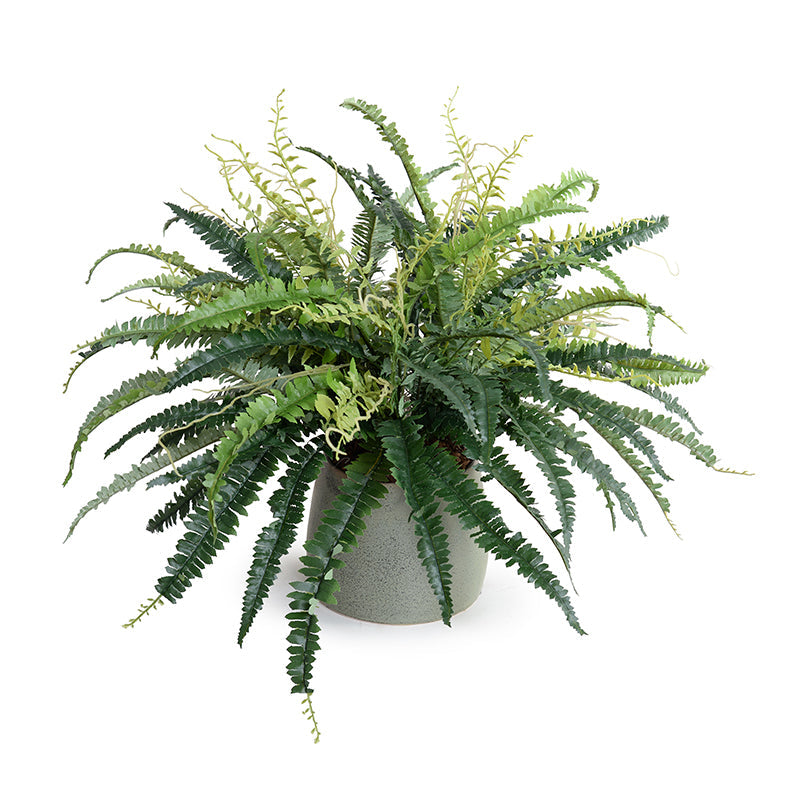 Forest Fern Small x3 Green Porcelain