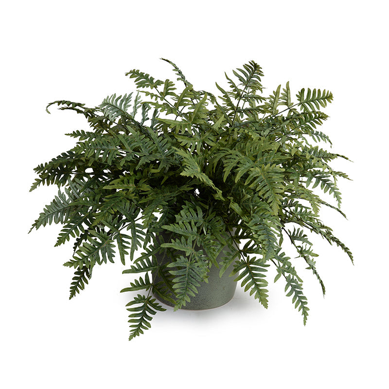 Lady Athyrium Fern 24"H Two-tone green / Green Porcelain