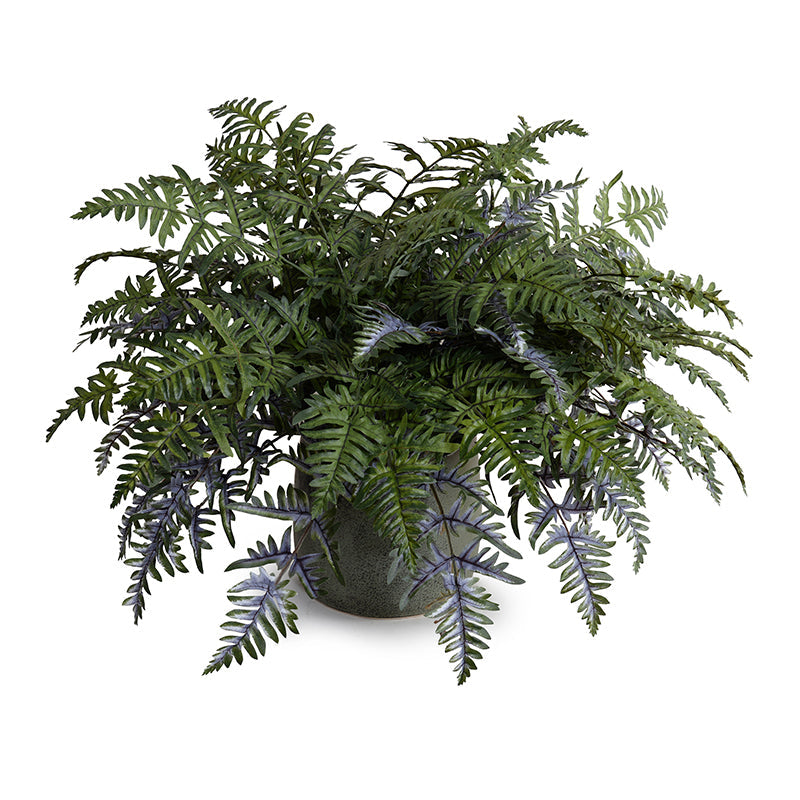 Lady Athyrium Fern 24"H Gray-green / Green Porcelain